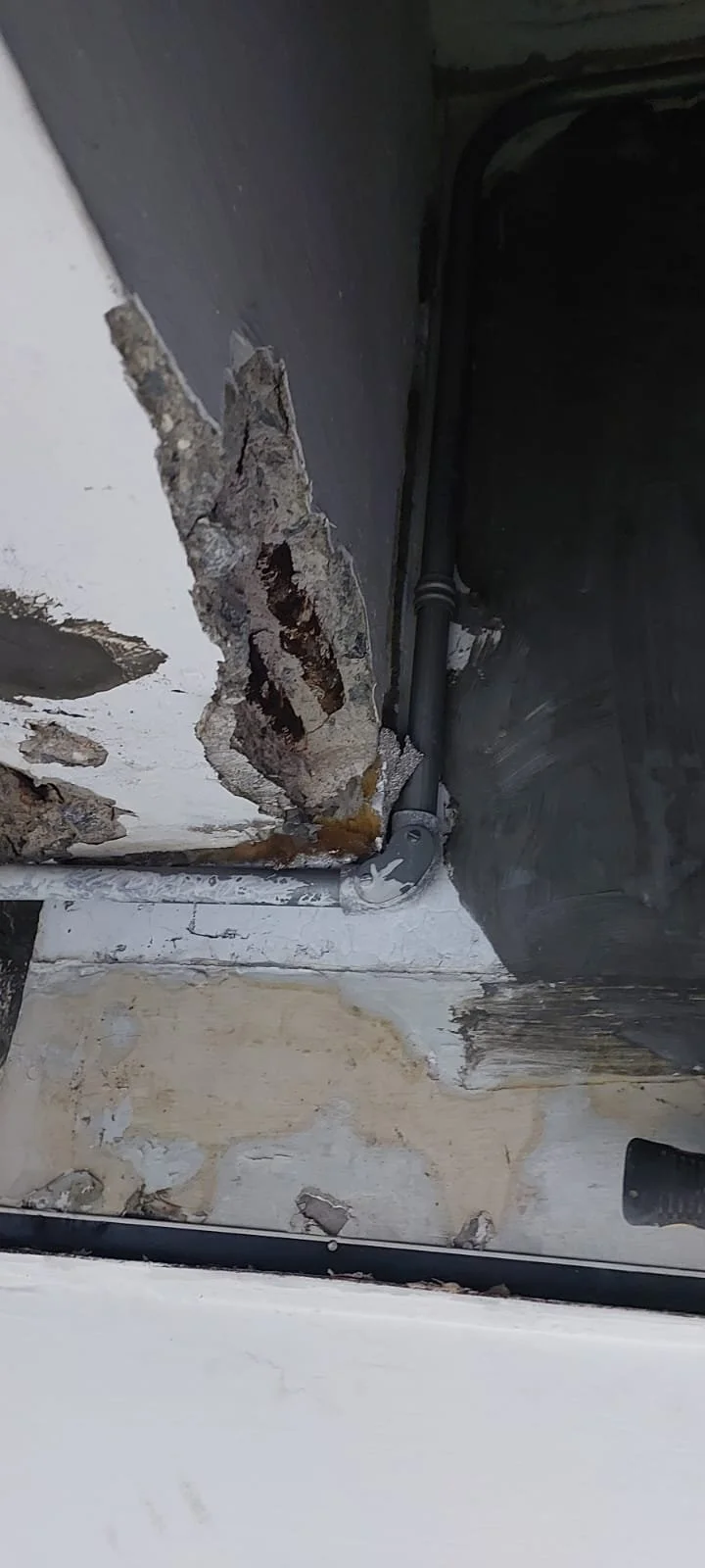 WhatsApp Image 2023-06-22 at 7.31.48 PM.jpeg