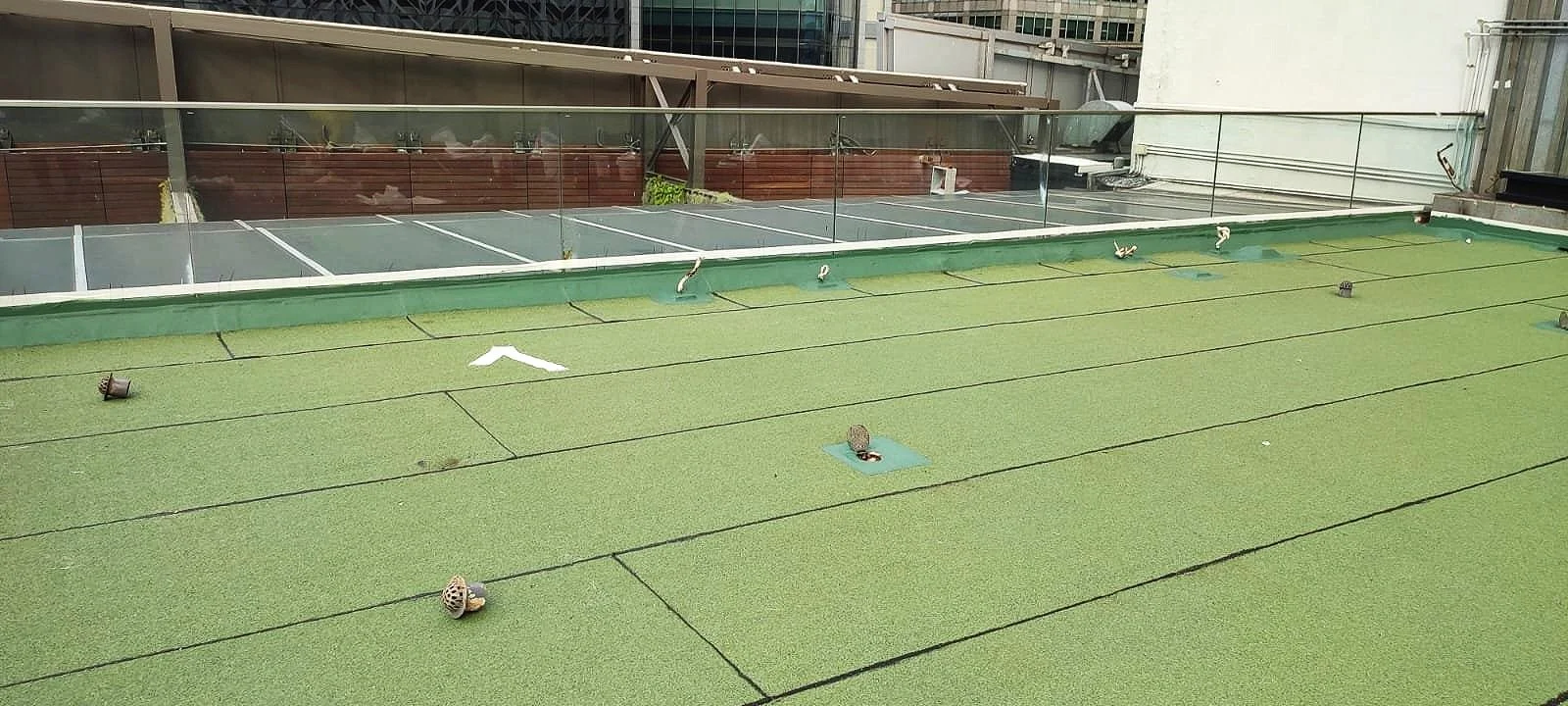 WhatsApp Image 2022-12-02 at 10.02.07 AM.jpg