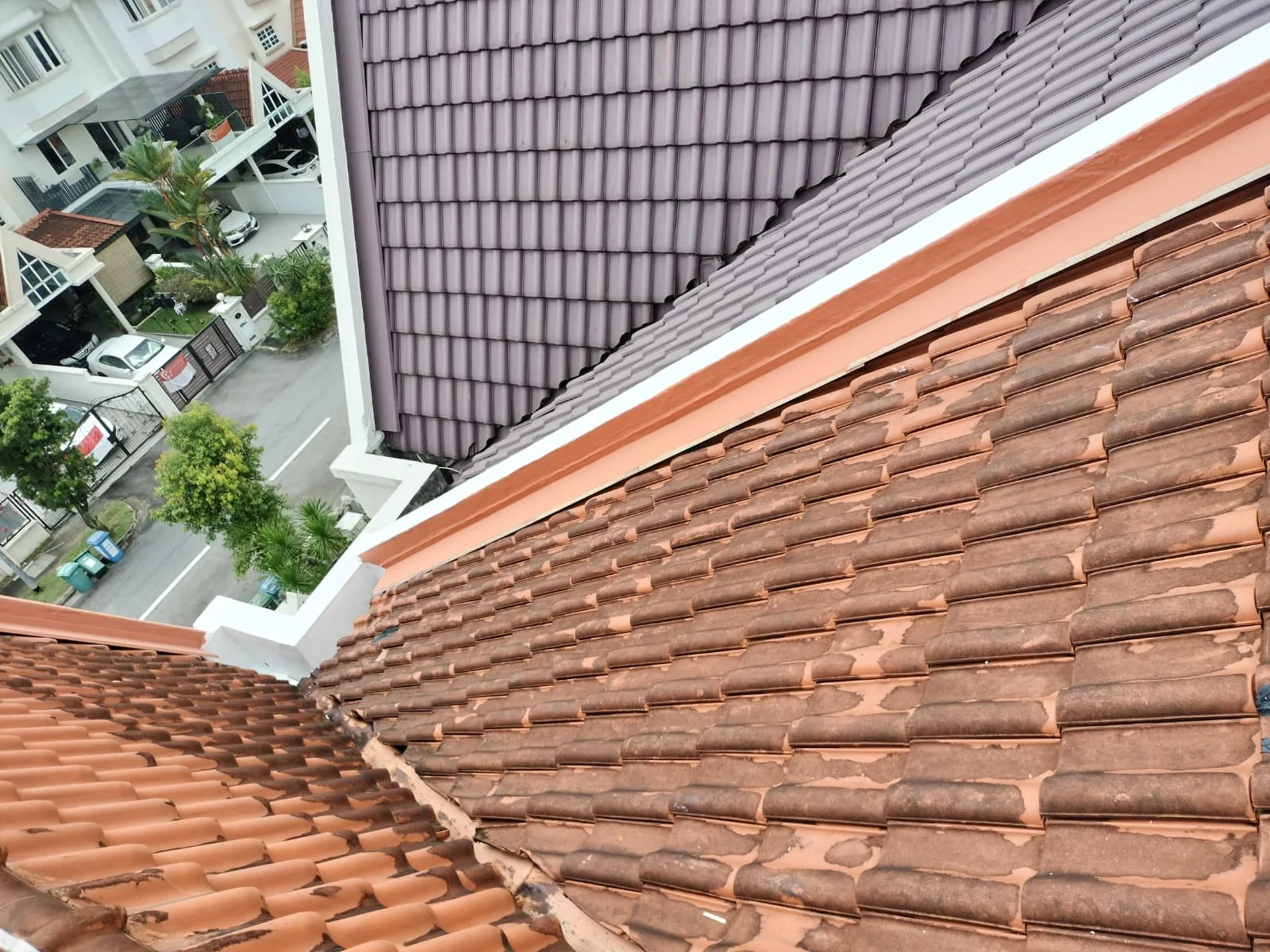 WhatsApp Image 2022-11-10 at 12.21.18 PM.jpg