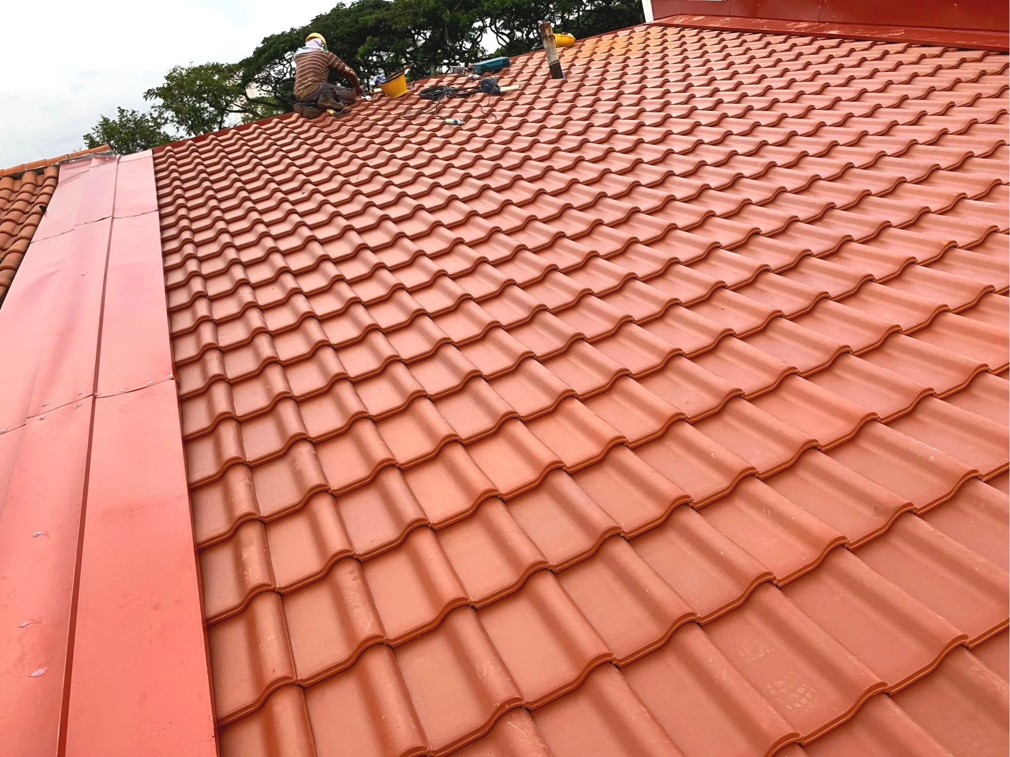 WhatsApp Image 2022-11-06 at 8.42.11 PM.jpg