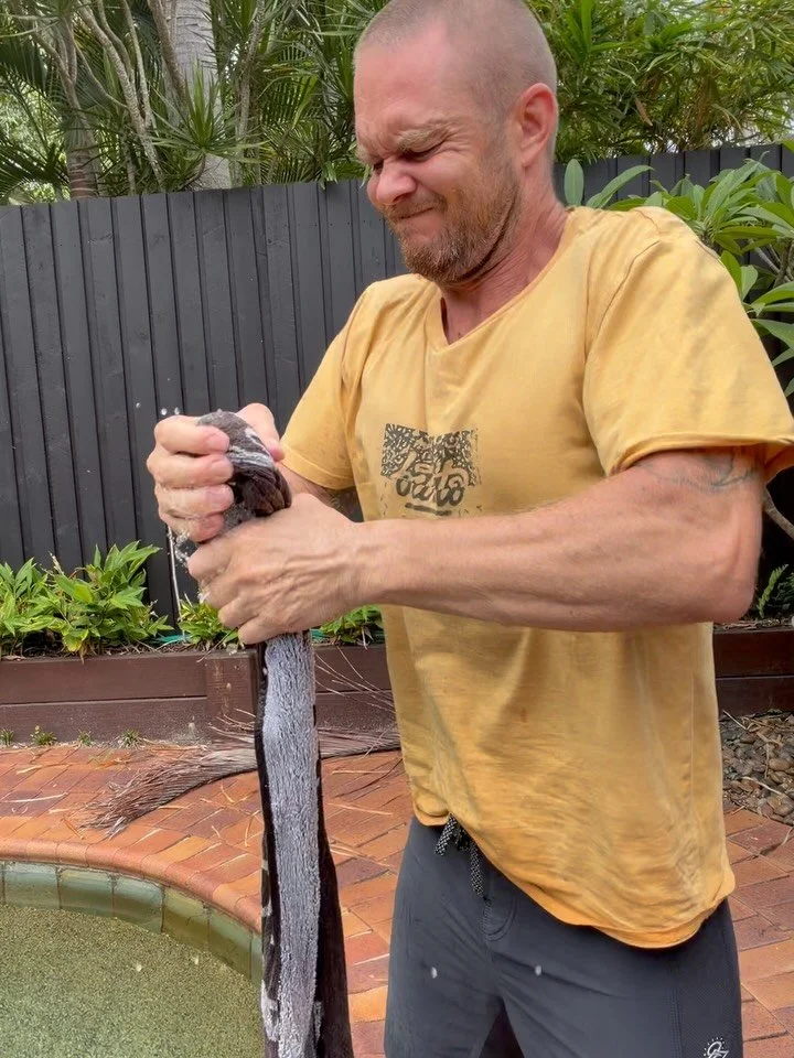 Recent things!
1. Grip. (Must be an easier way to dry washing? 😂)
2. Ring Fun.
3. Changing perspective. 
4. Upper body connecting.
5. A super relaxing session with @sanctree.therapies 
6. Klex - our morning walks.
7. Focus.
8. Axilla + Heart/Lung li