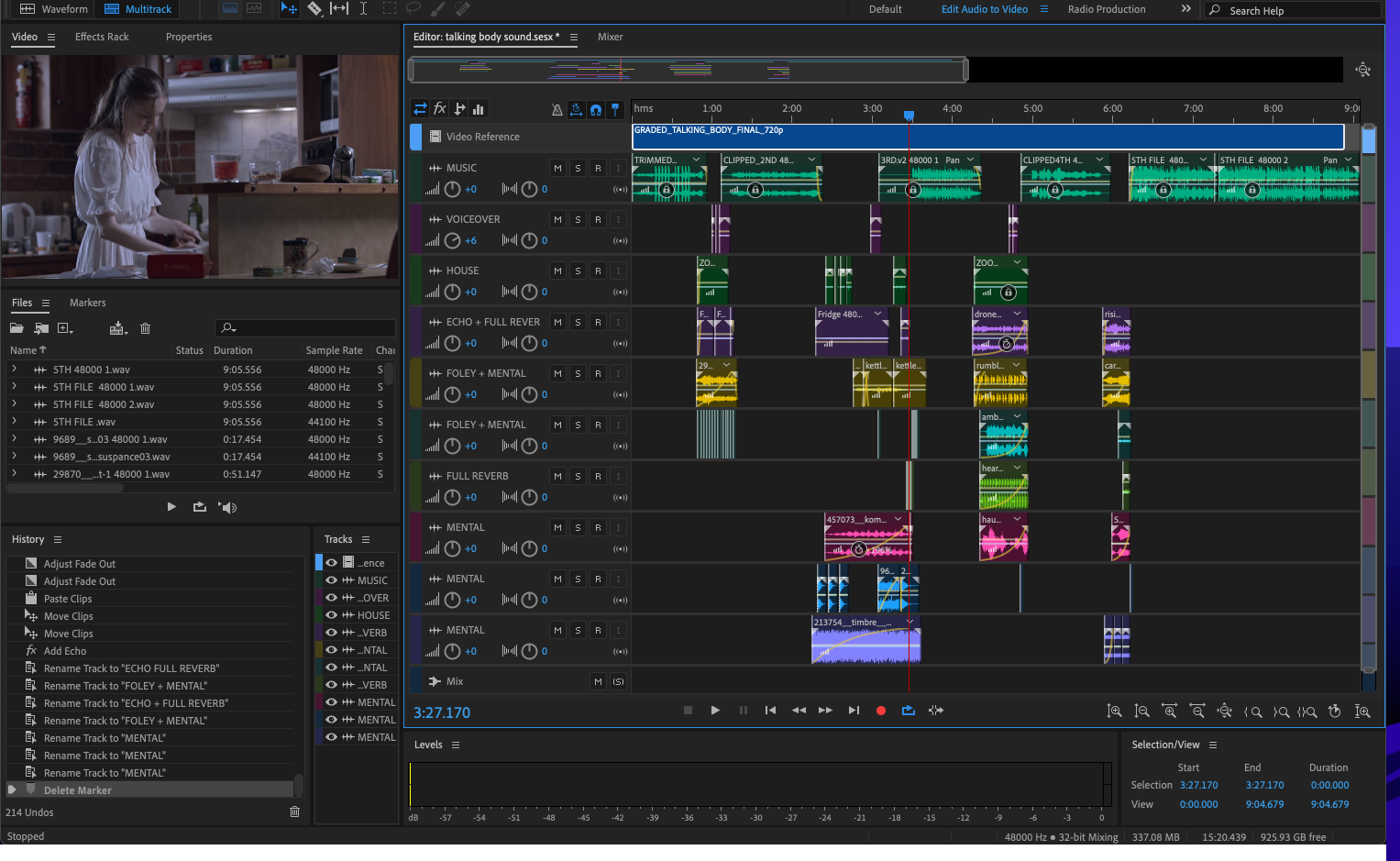 Adobe Audition set-up. Labelling tracks according to purpose
