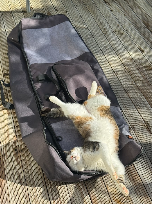 Screenshot 2025-06-29 130040.png