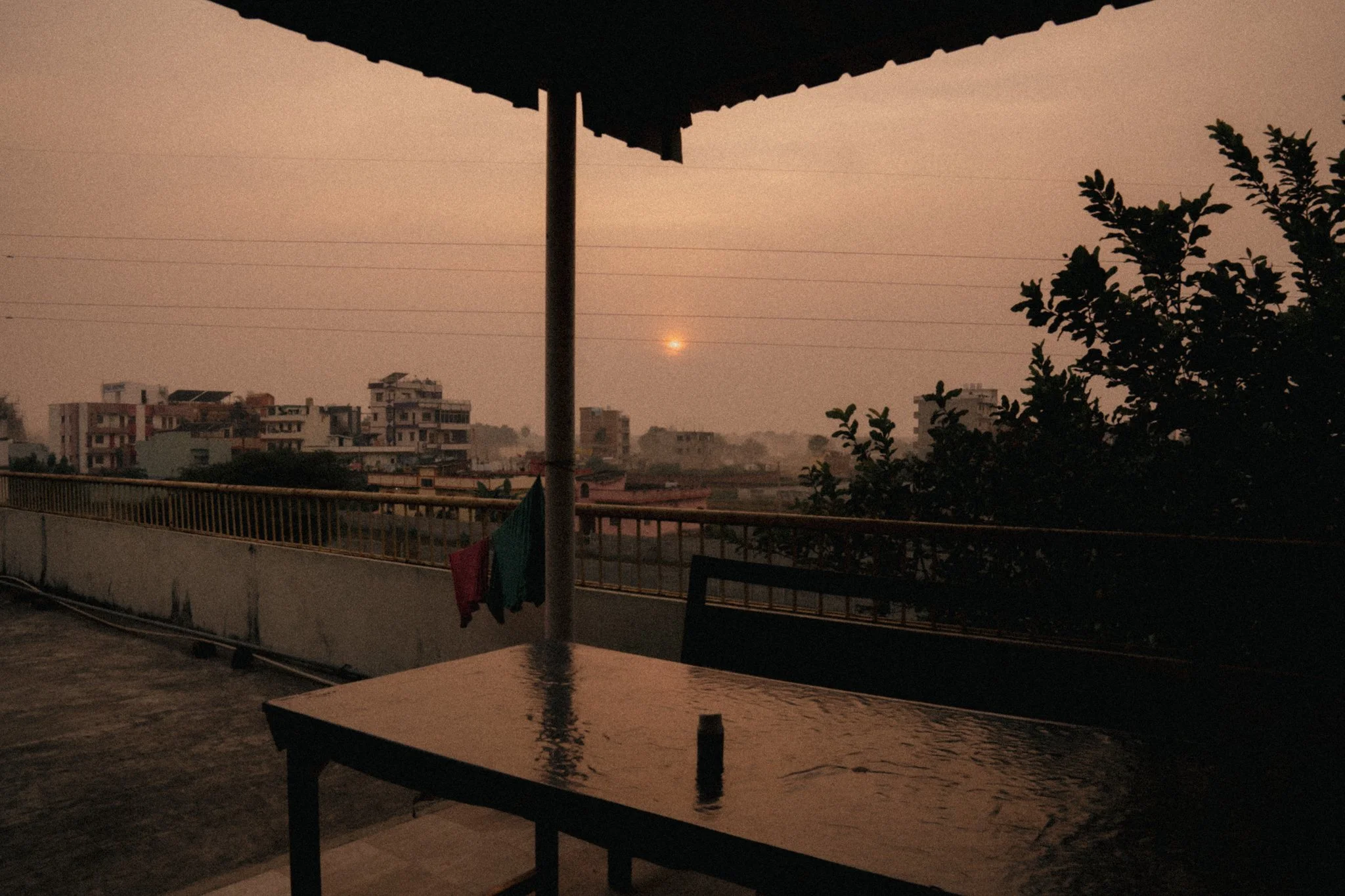 Beneath the Bodhi Tree