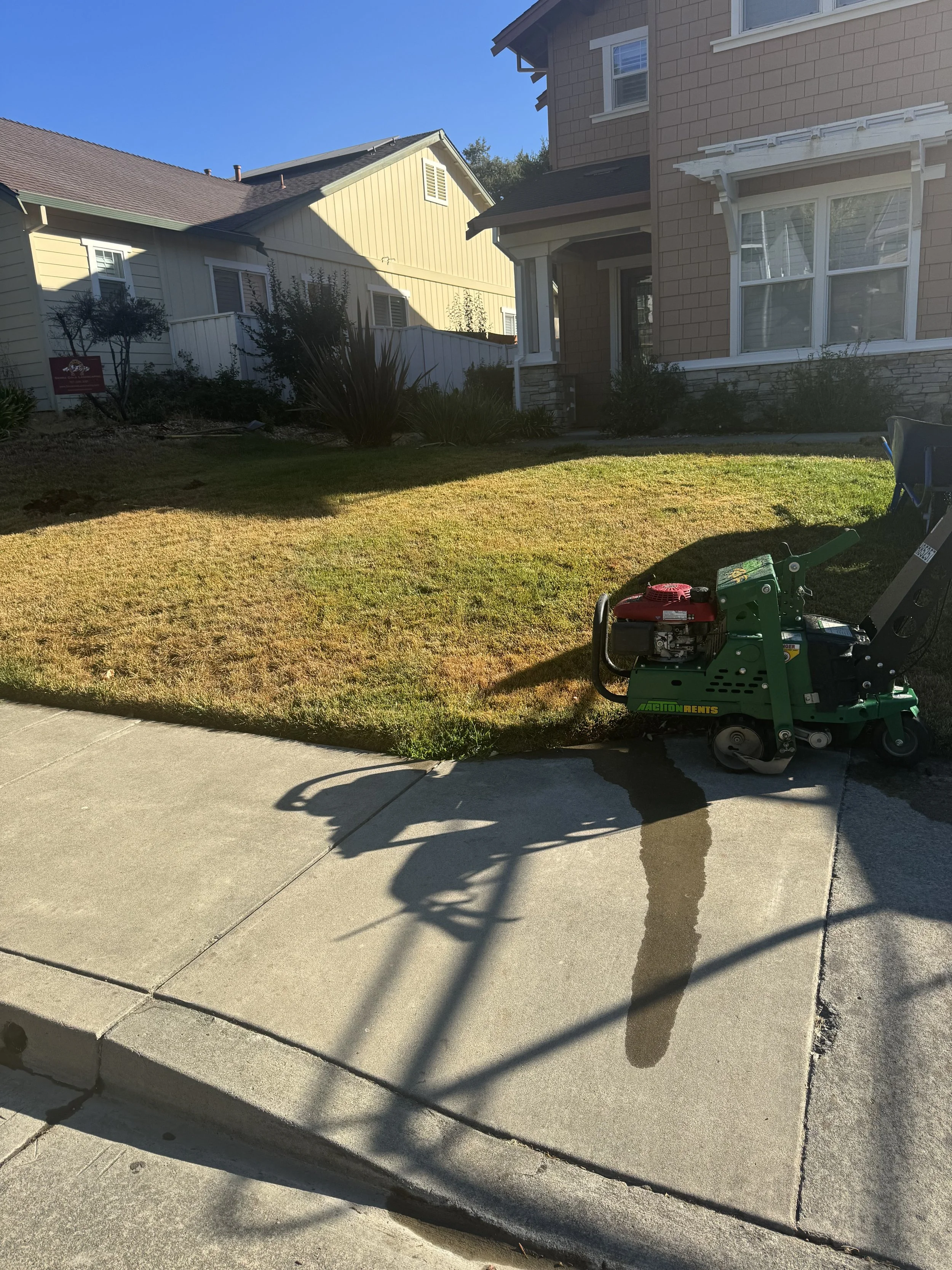 IMG_0048.jpeg
