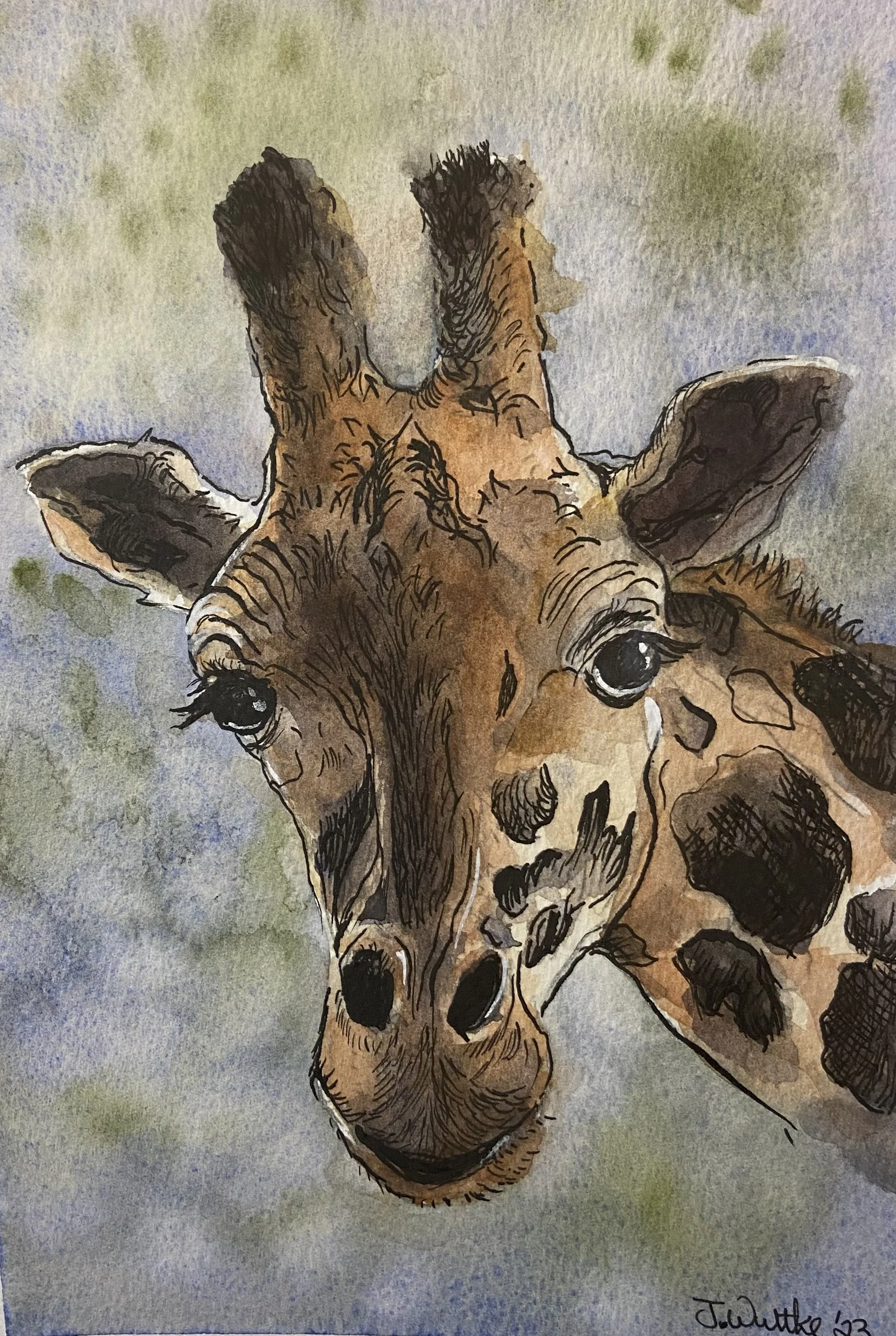 Line &amp; watercolour wash: Easy Animals