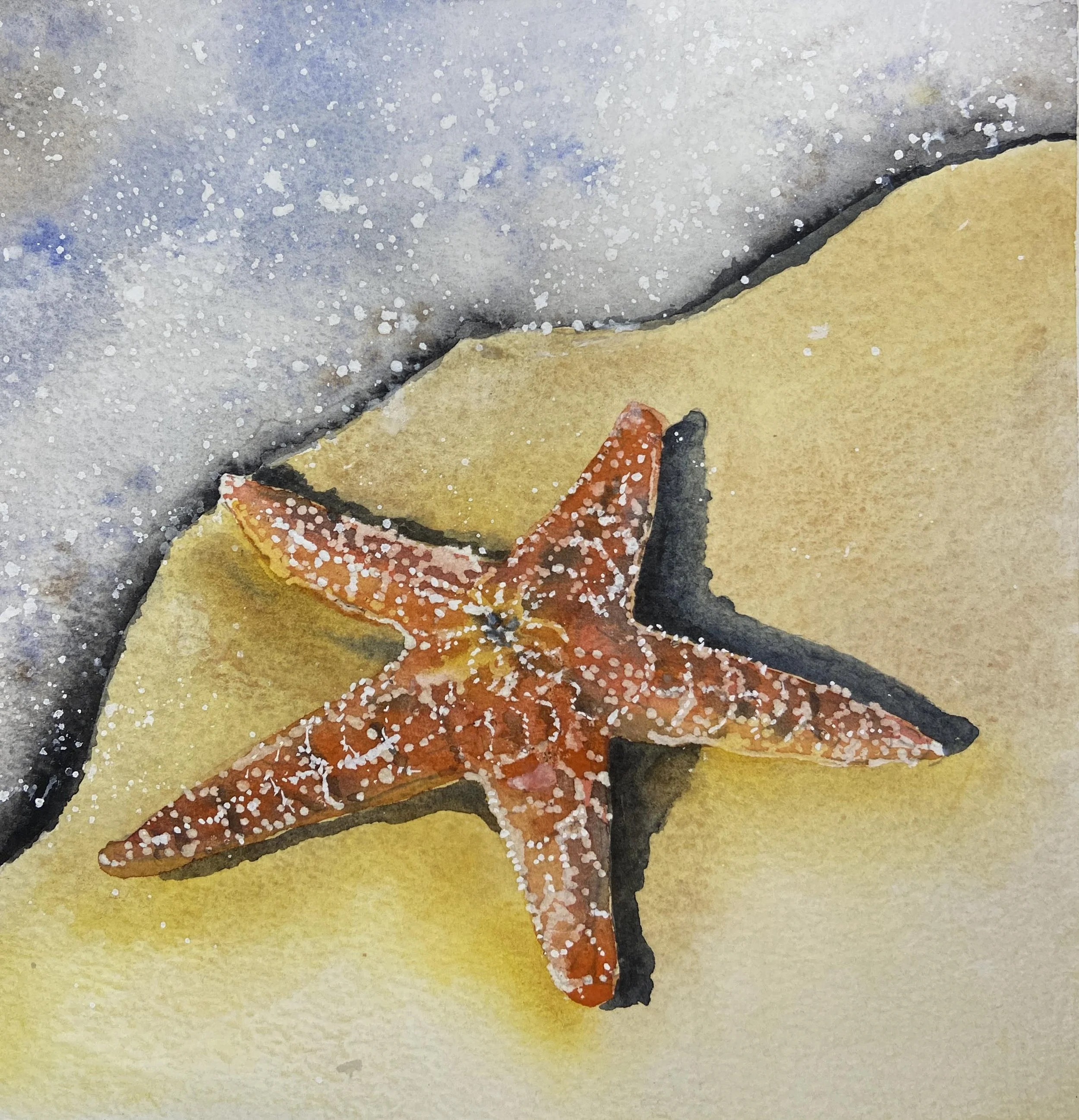 Watercolour and mixed media: Scales, Shells and Sea creatures
