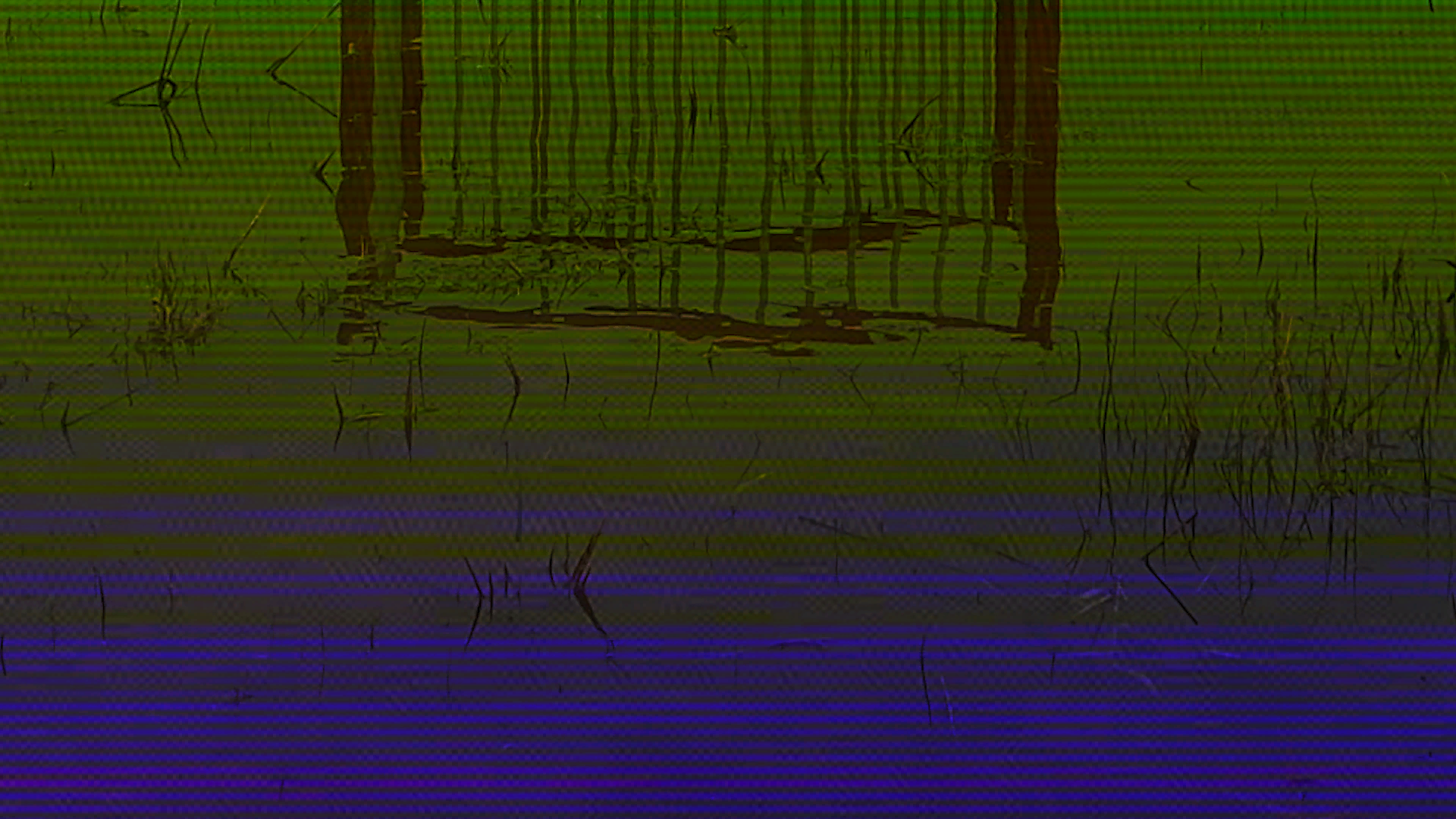 vlcsnap-2022-10-31-17h31m20s494.png