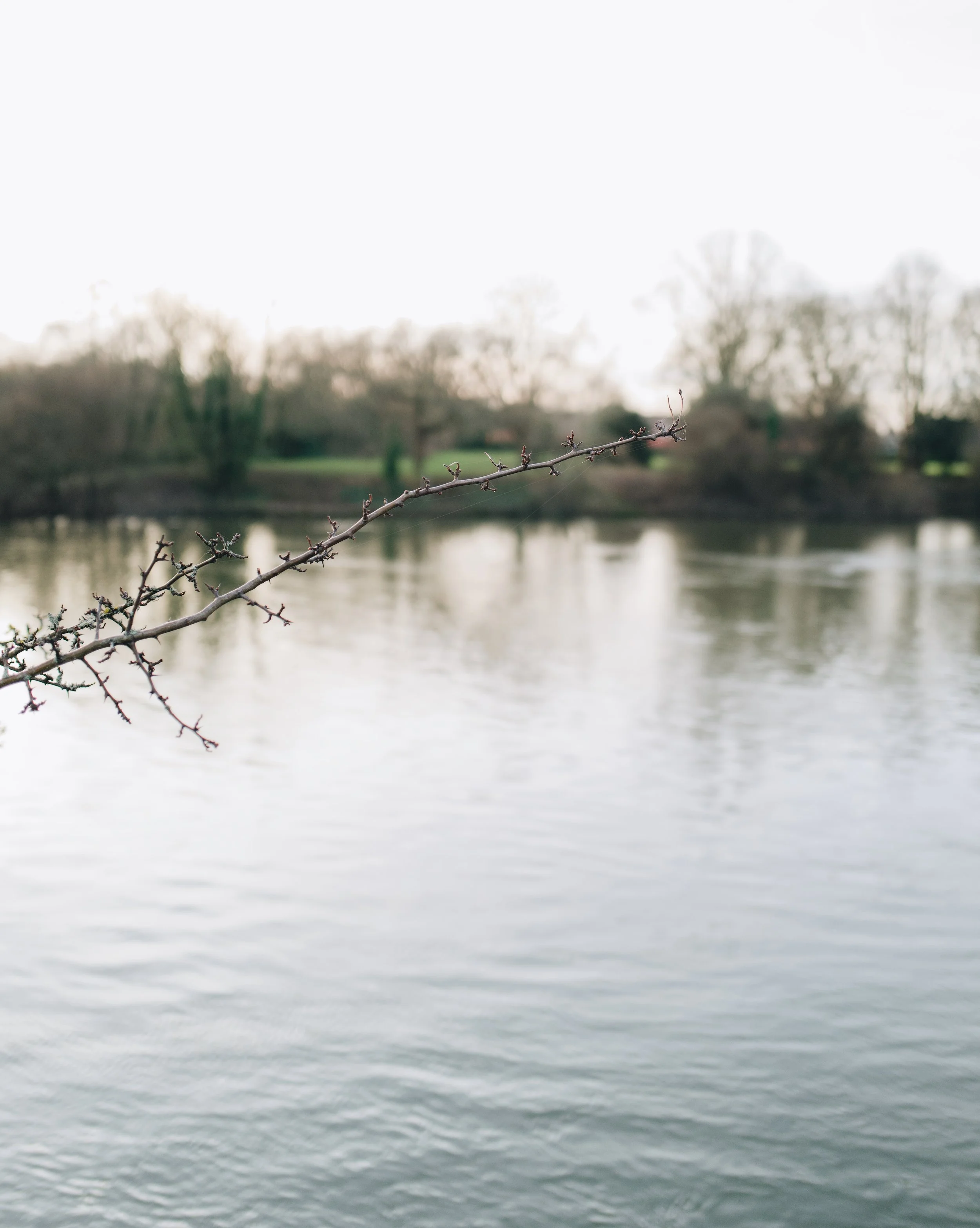 DO01070307_VSCO.jpg