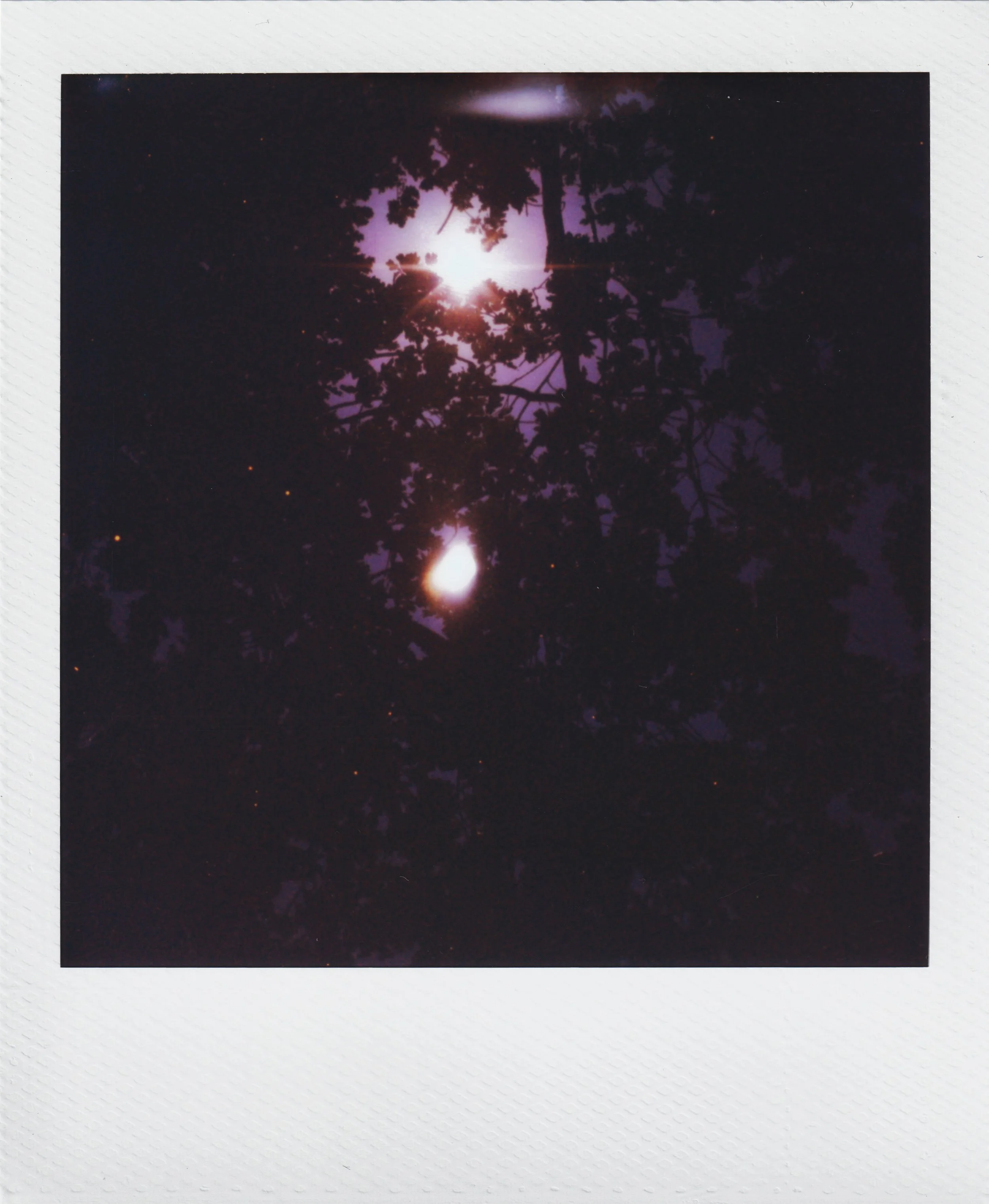 painshillmom2lighttree.jpg