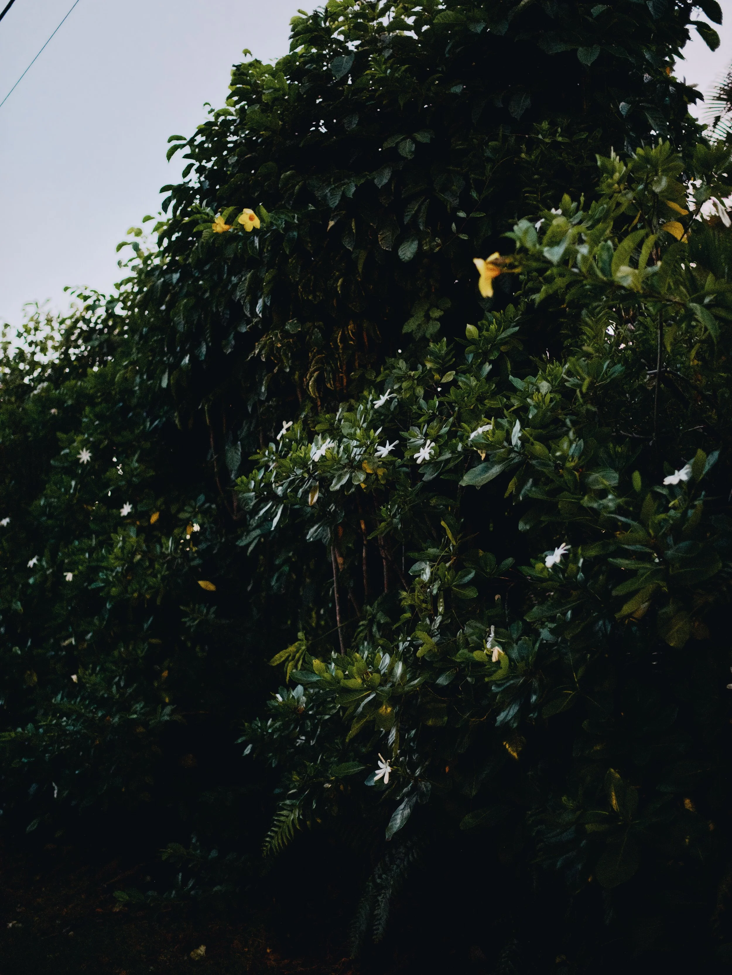 L1006694_VSCO.jpg