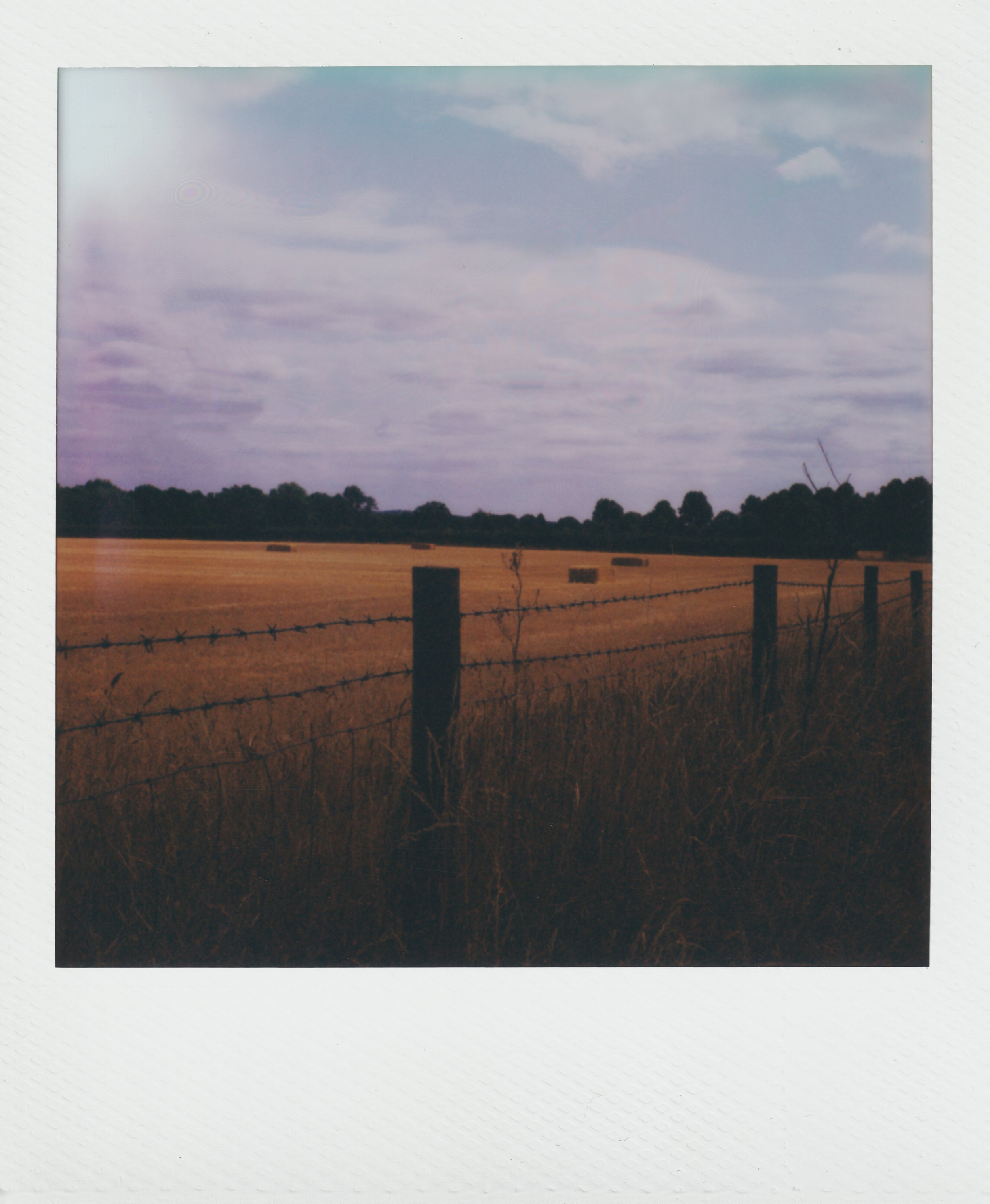 MARLOWFIELDS_WHTEN copy.JPG