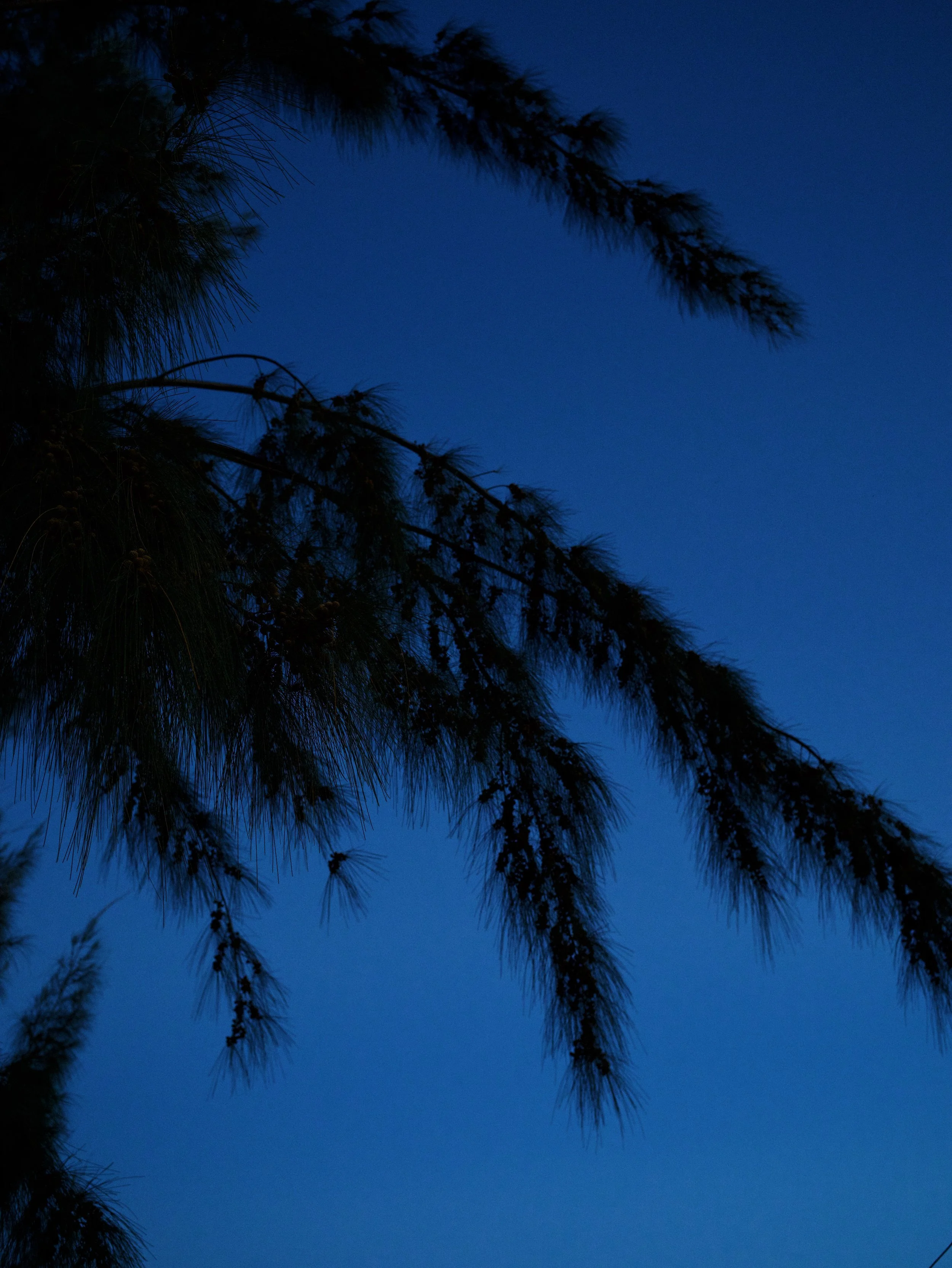 L1006656_VSCO.jpg