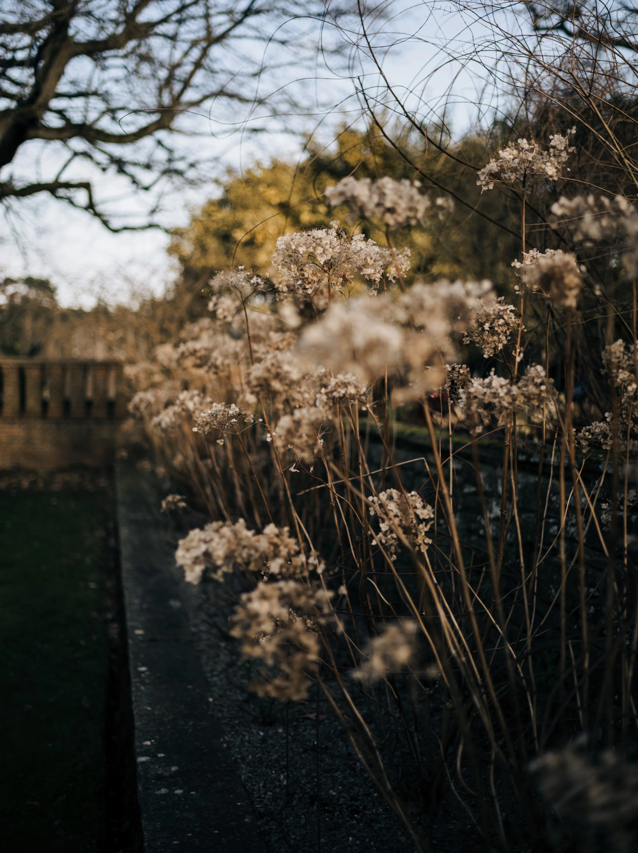wisleyfebruary48_VSCO.jpg
