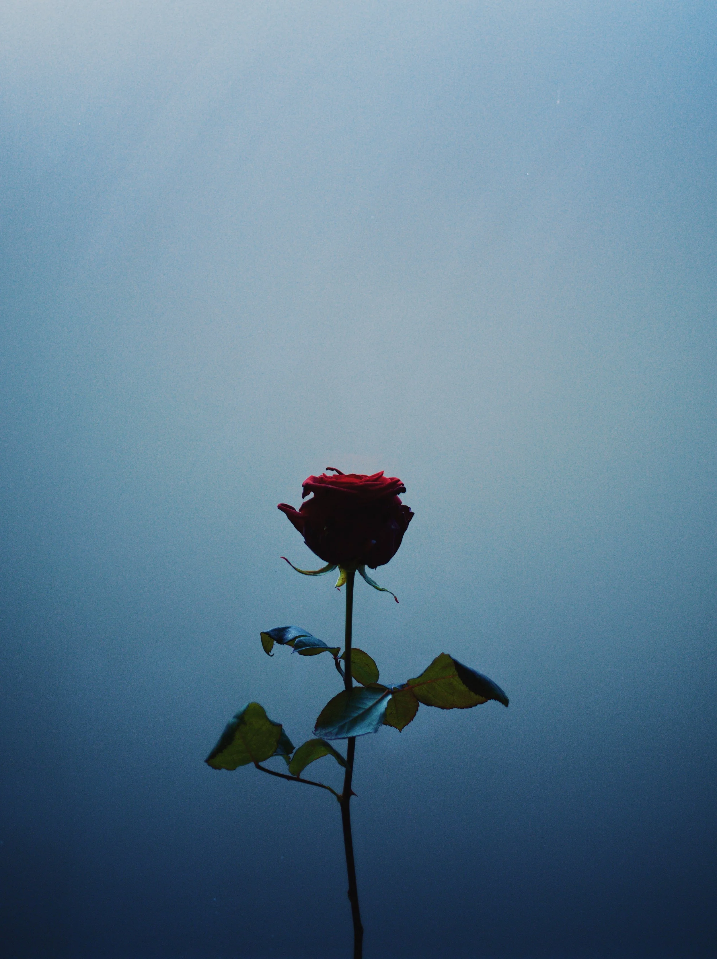 L1007394_VSCO.jpg