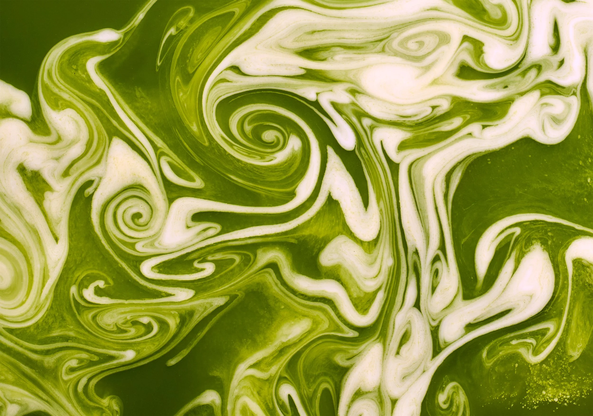 260307_Matcha-194.jpeg