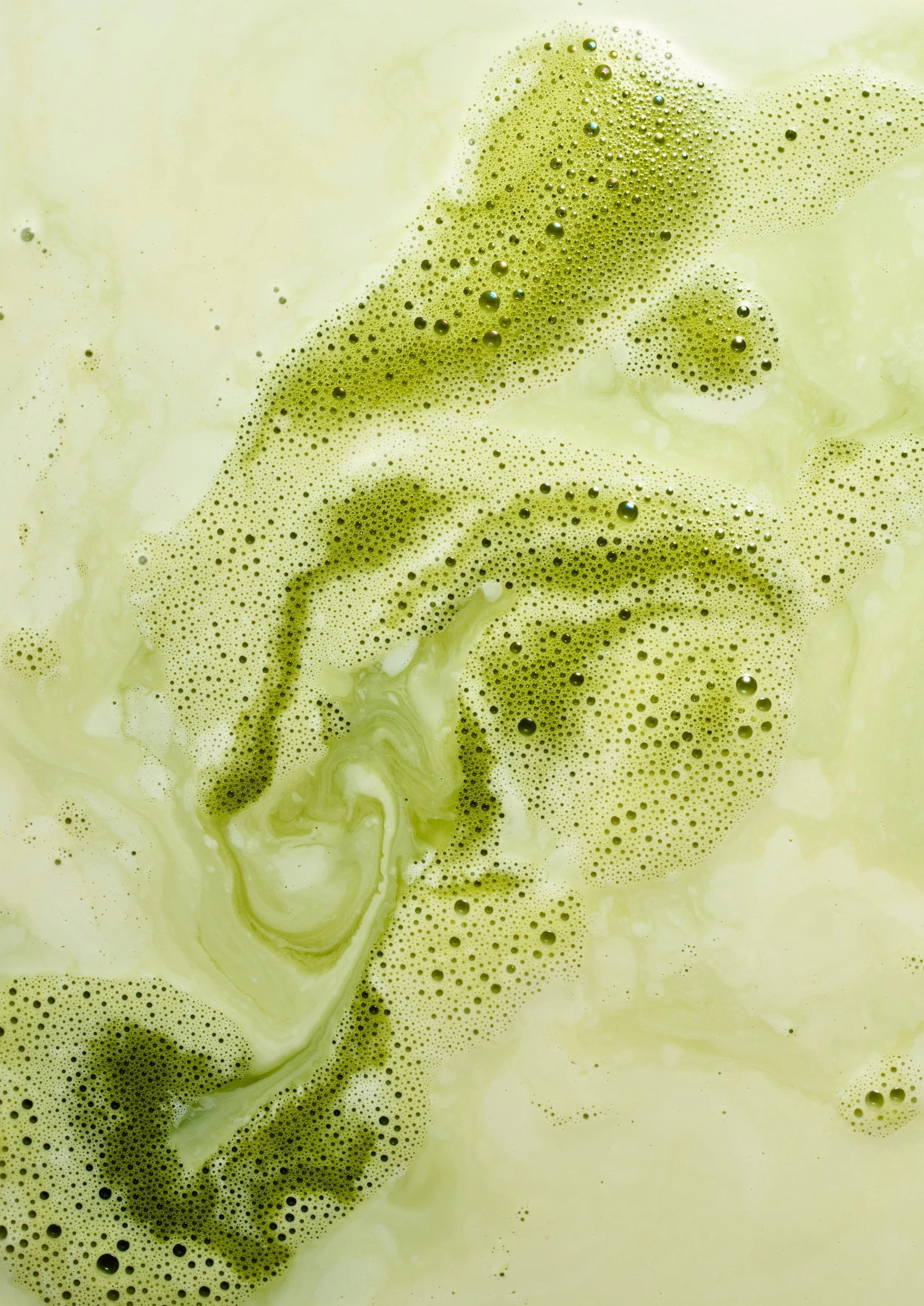 260307_Matcha-207.jpeg