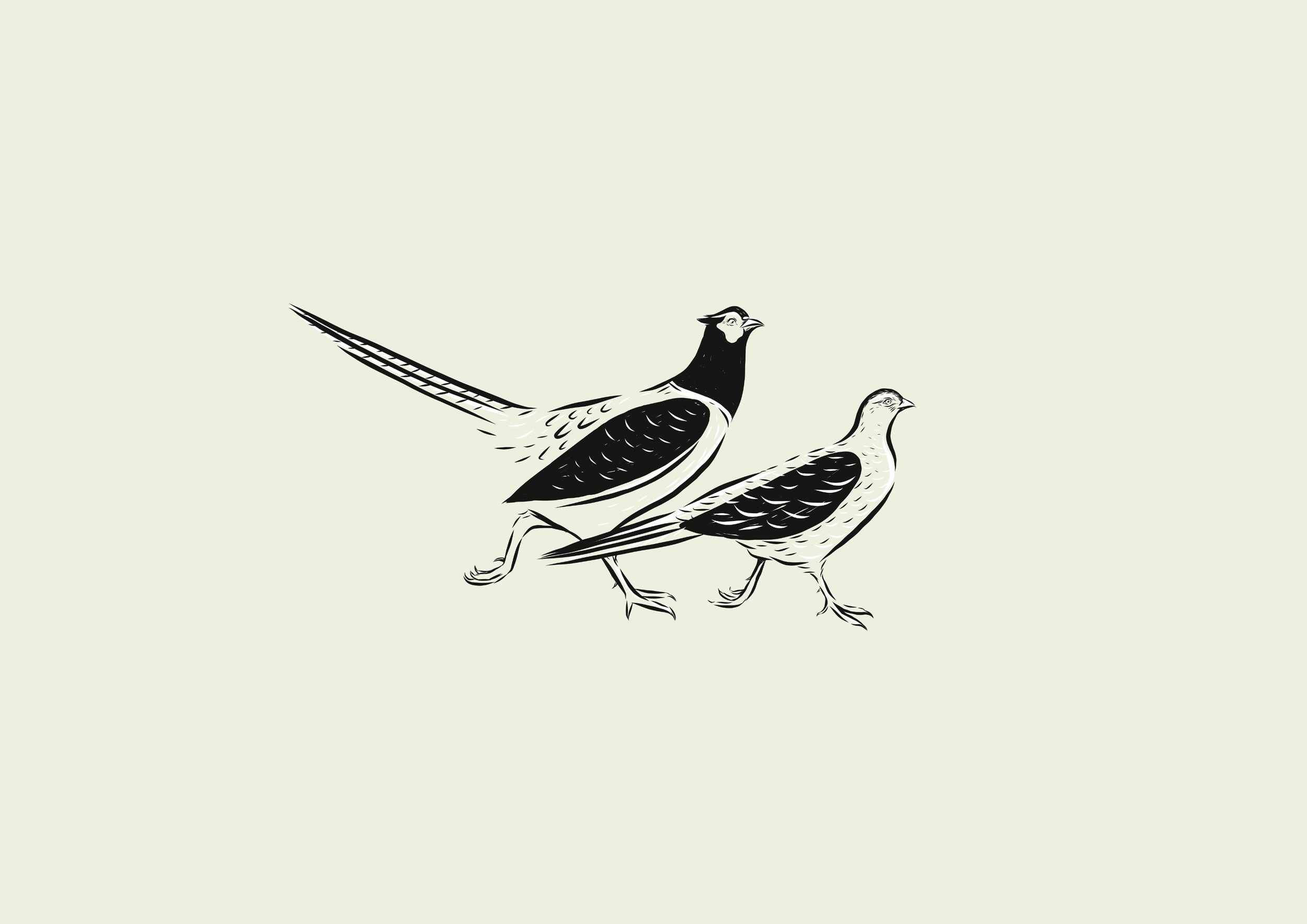 Banned Books by DK Publishing