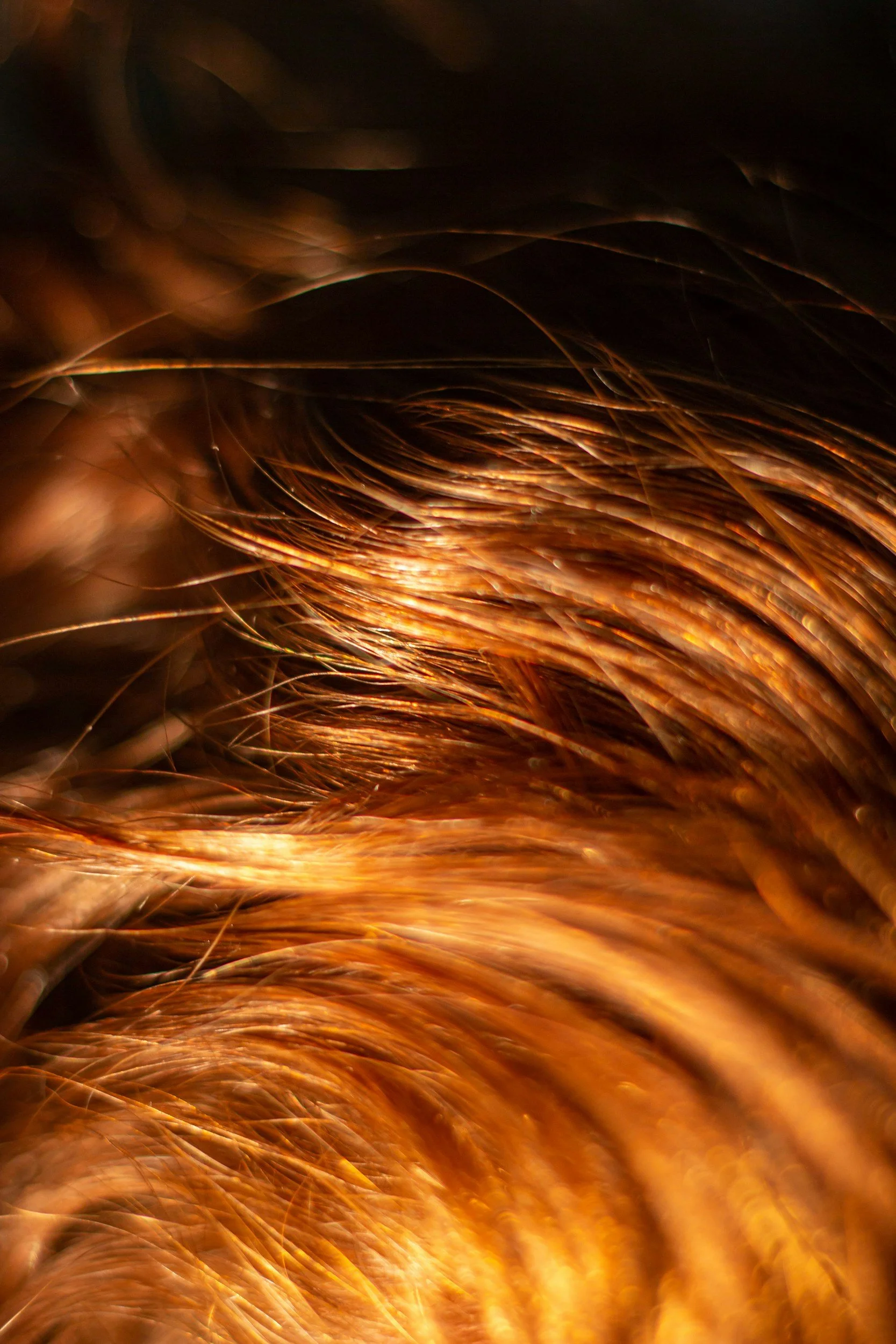 How to Choose a Hair Colour That Complements Your Skin Tone