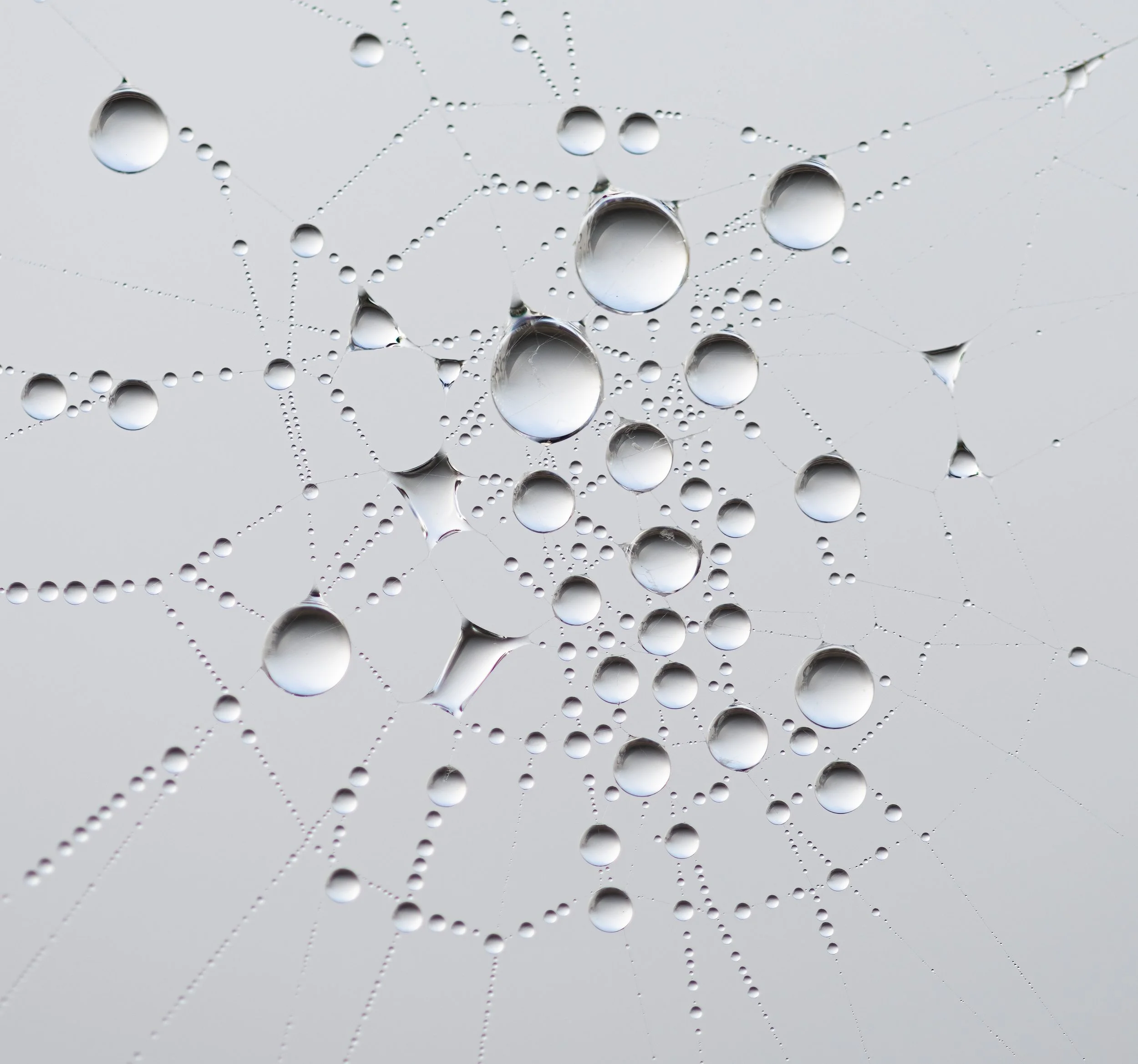 Droplets.jpeg