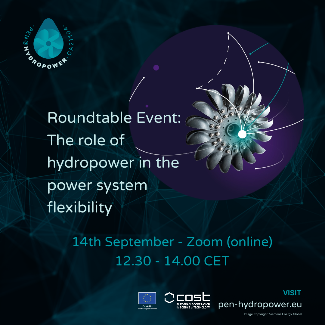 Roundtable Event: The Role of Hydropower in power system flexibility