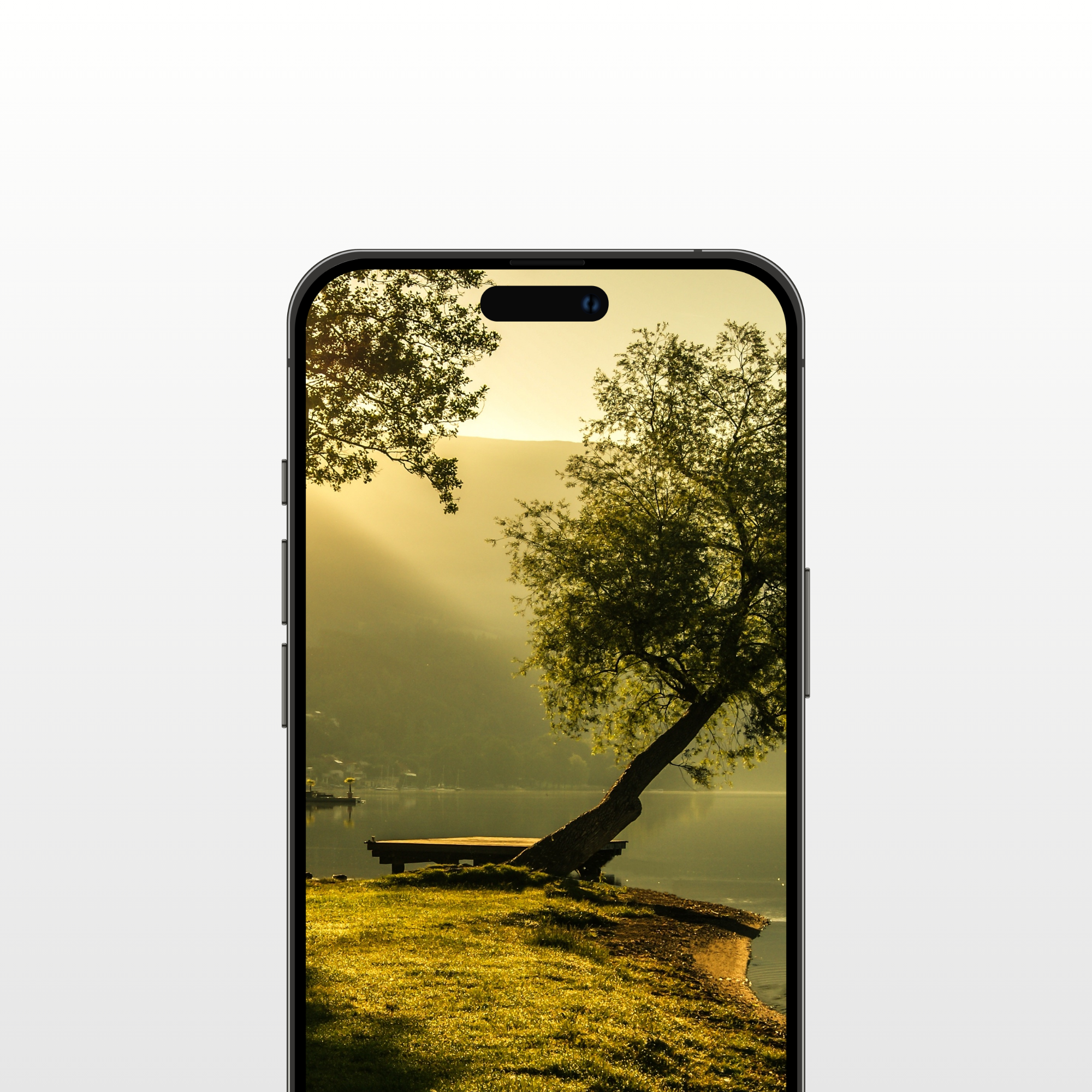 Cover (2).png