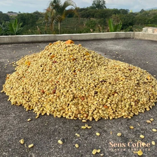 Colombia - Finca La Sirena - Osmotic Dehydration/Peach