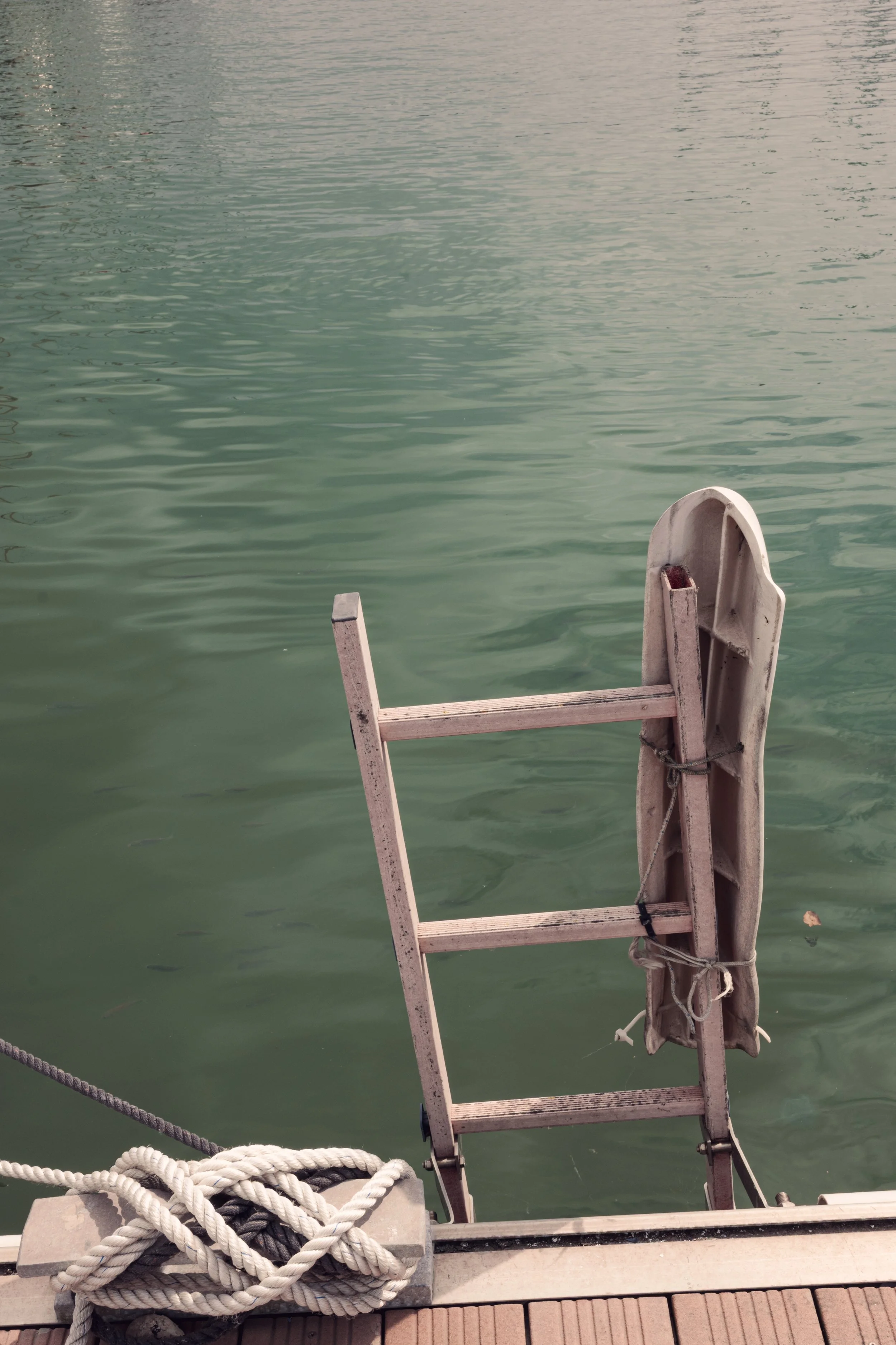 Photographie © Marie Bezille -  reportage photo 