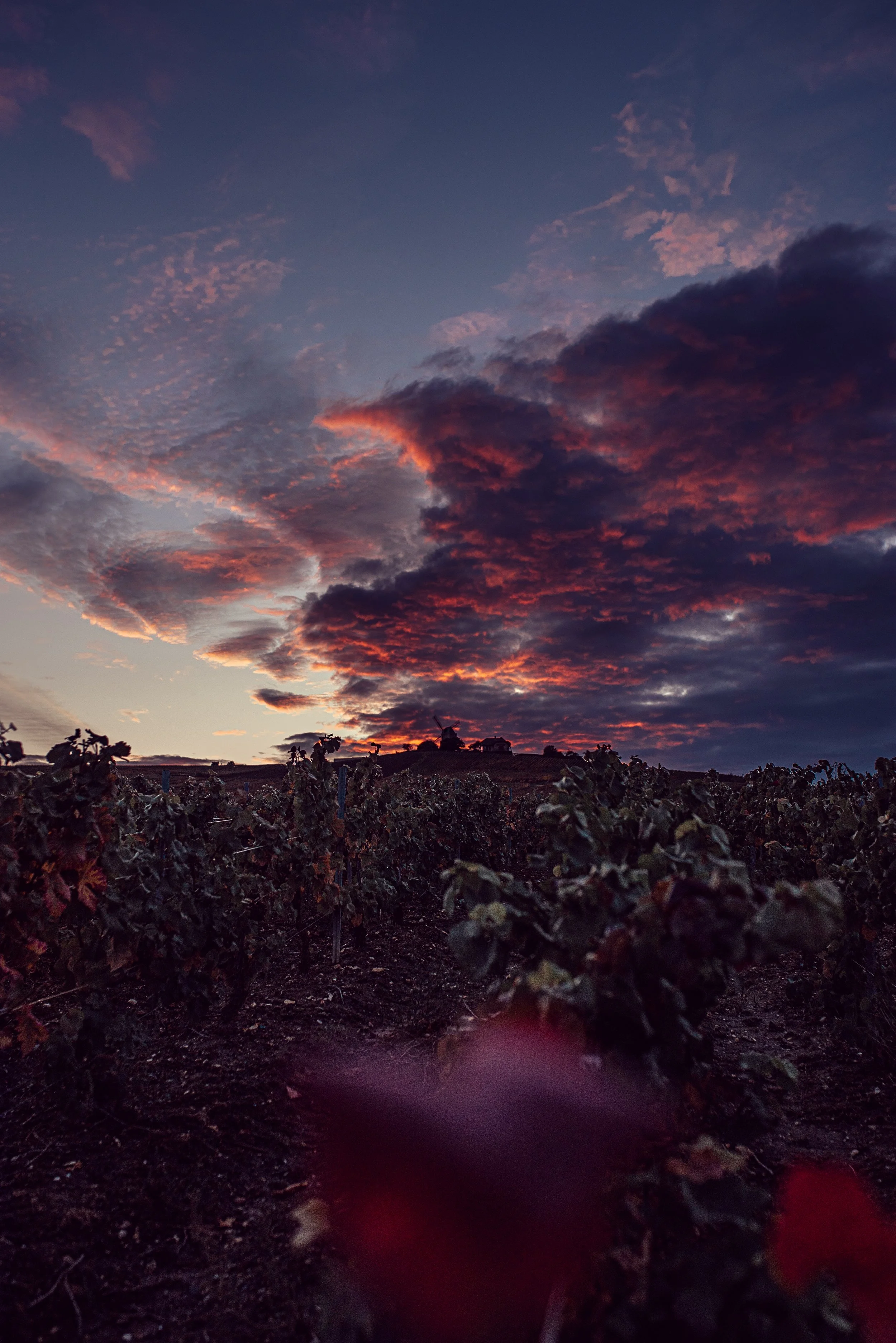 Photographie © Marie Bezille -  reportage photo 