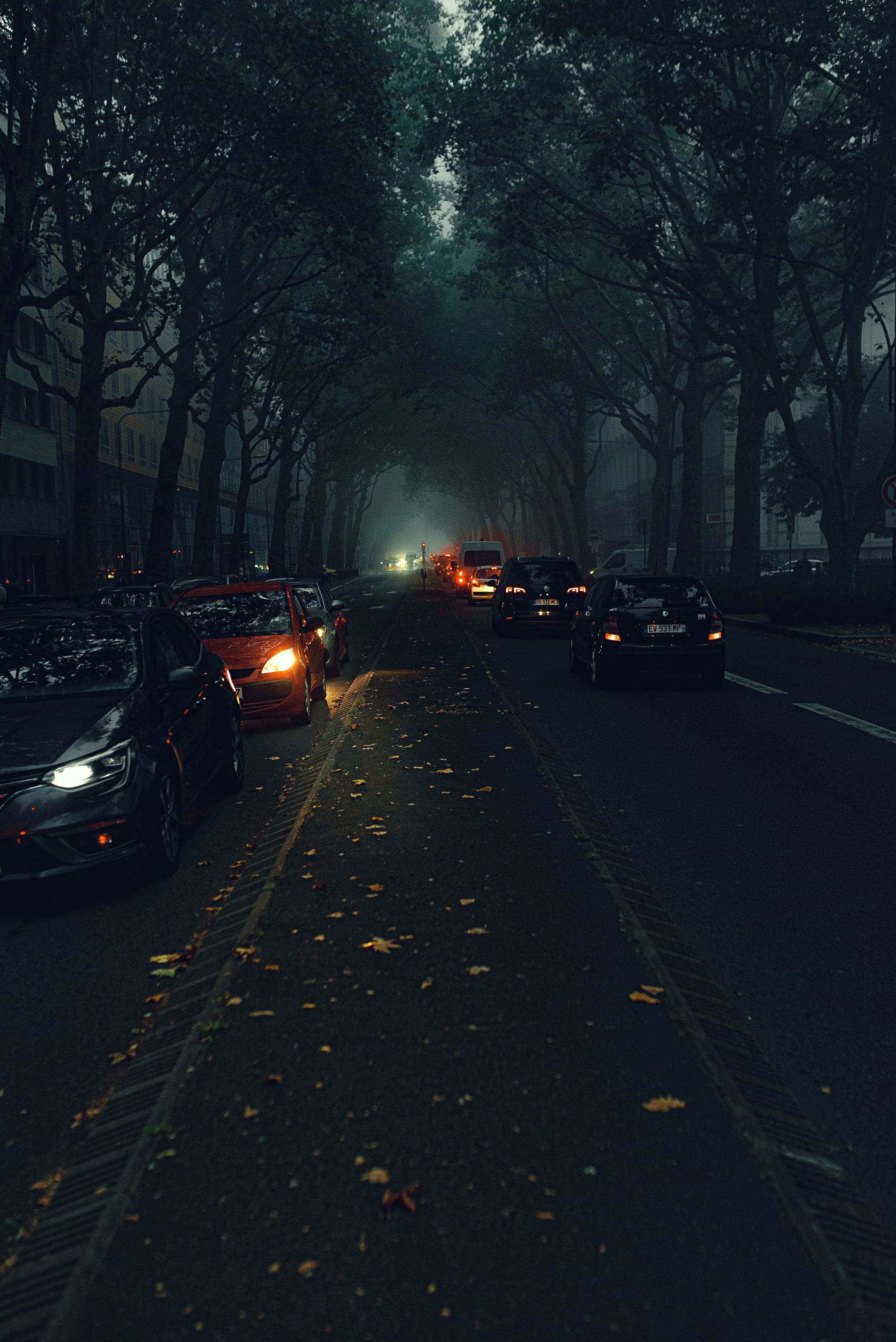 Photographie © Marie Bezille -  reportage photo 