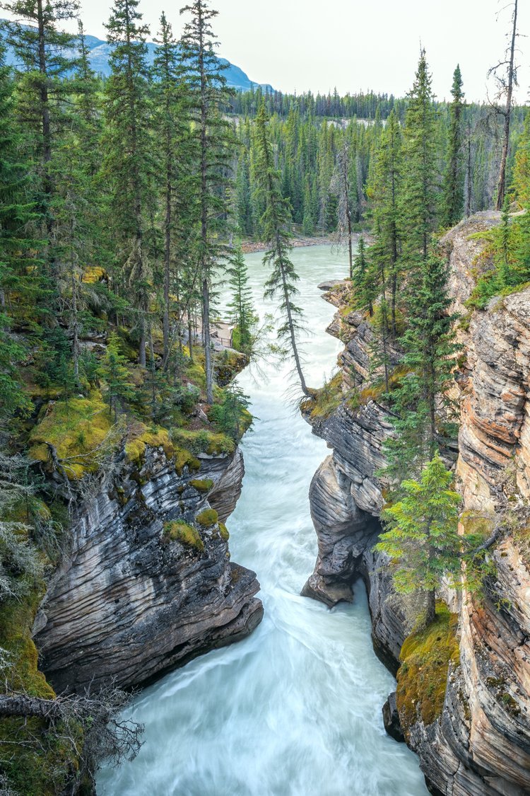 Athabasca Gorge