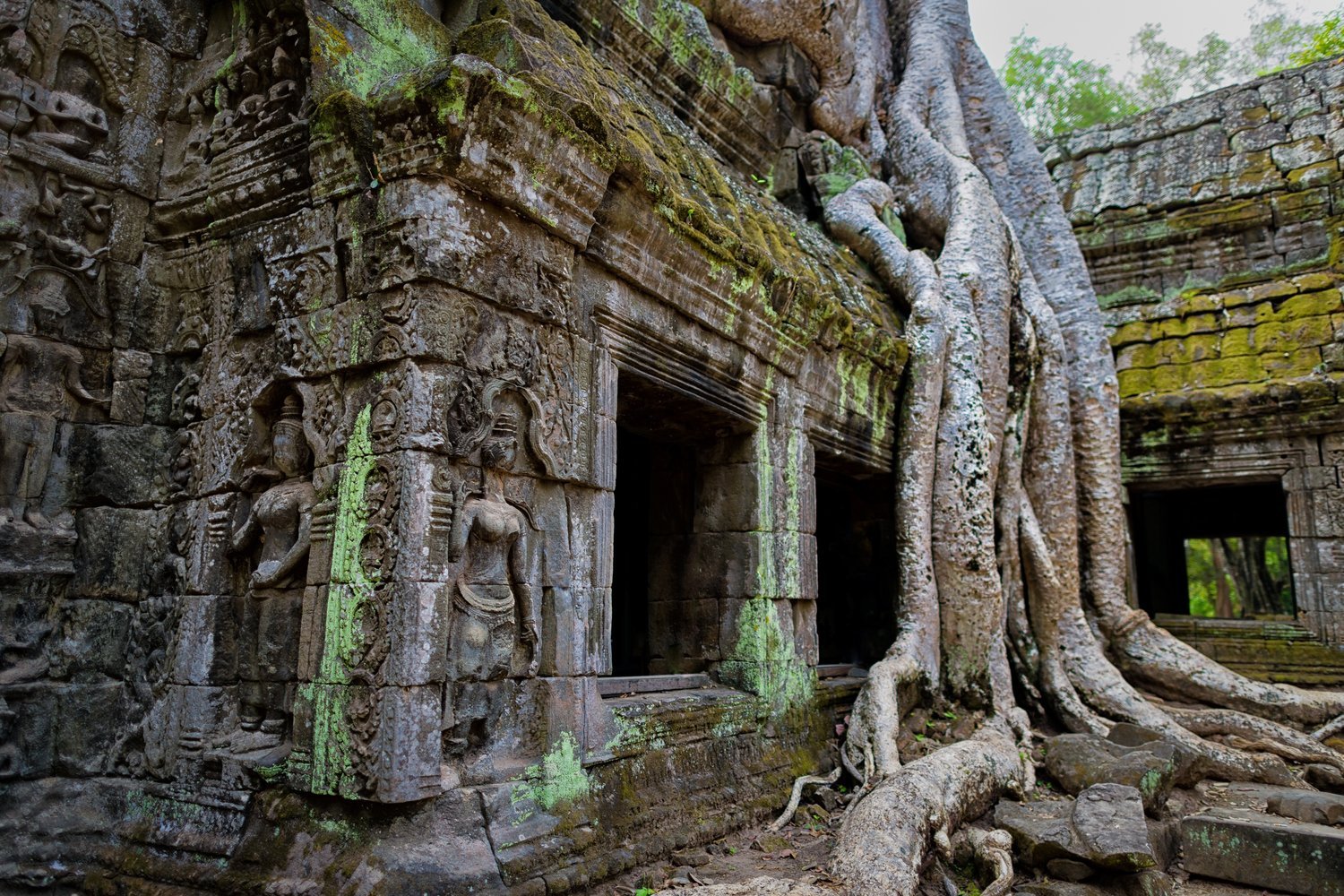 Ta Prohm Temple