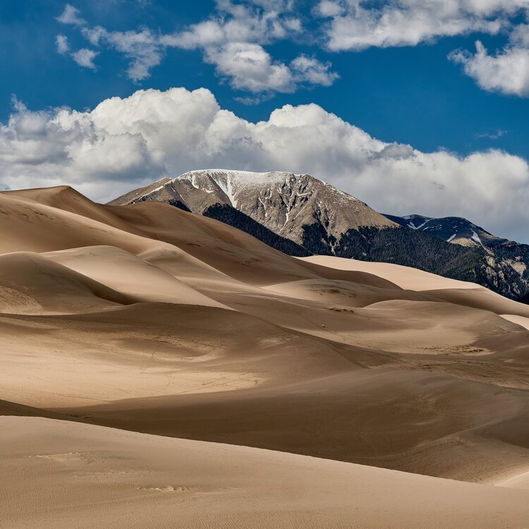 reversing-dunes-at-midday.jpeg