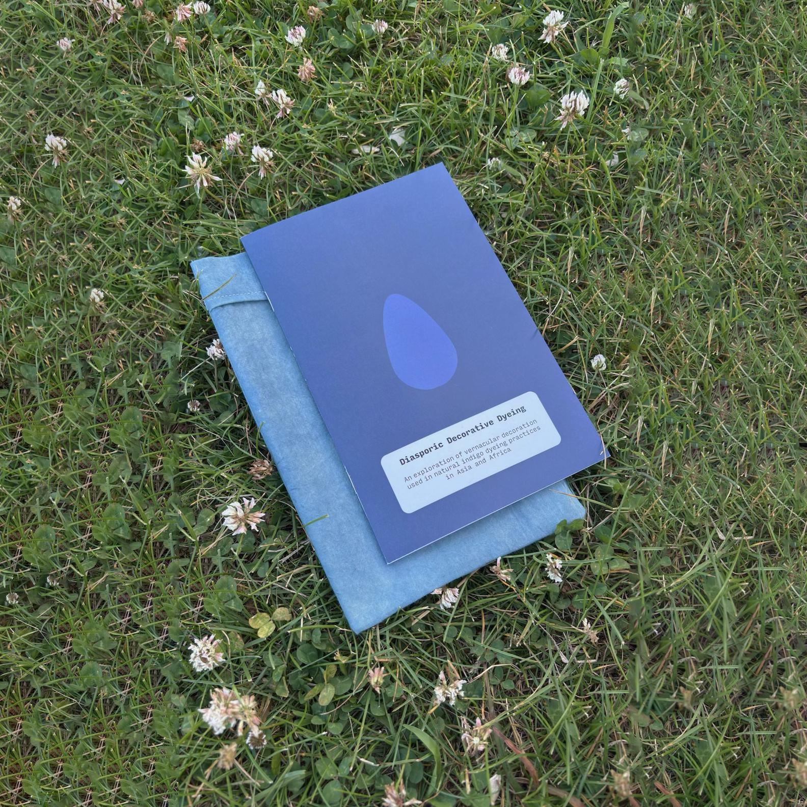 Image Oblique.png