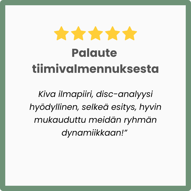 disc-analyysi-skillmore-palaute.png