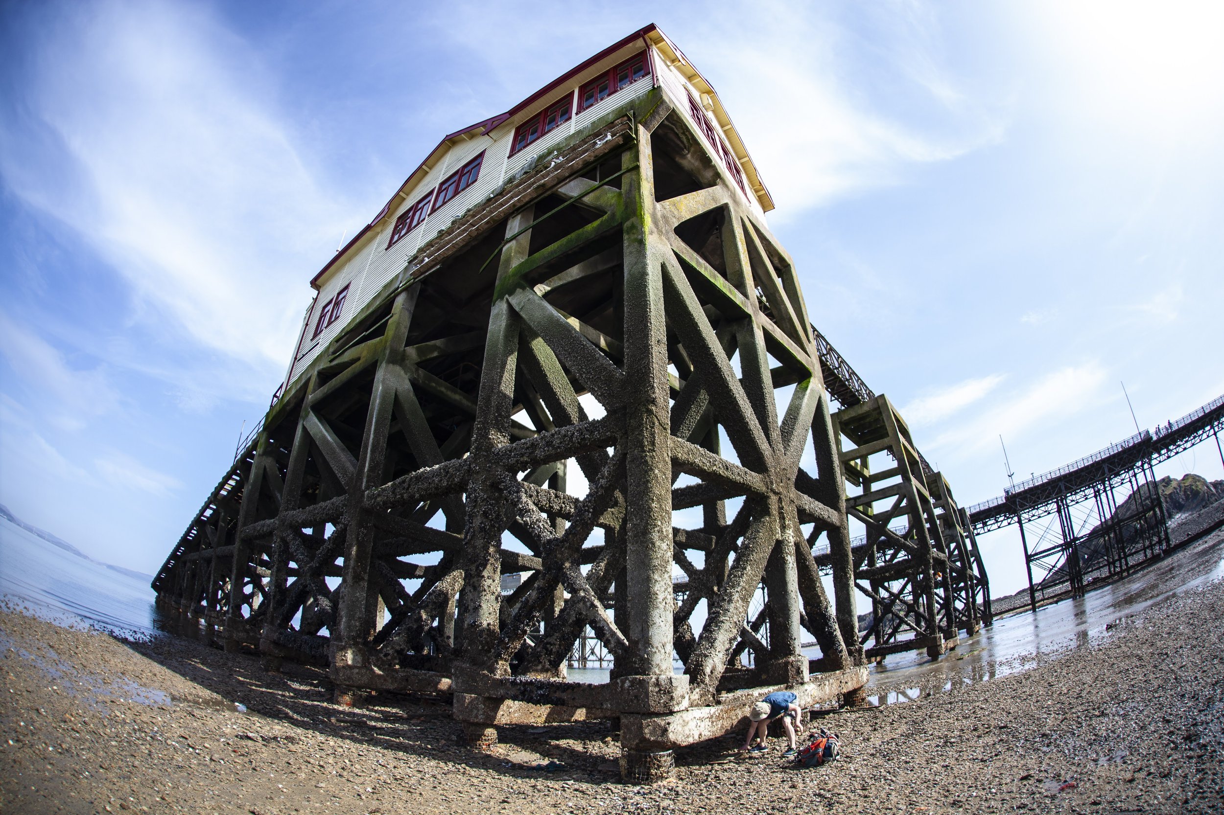 Seashore safari: Mumbles Pier