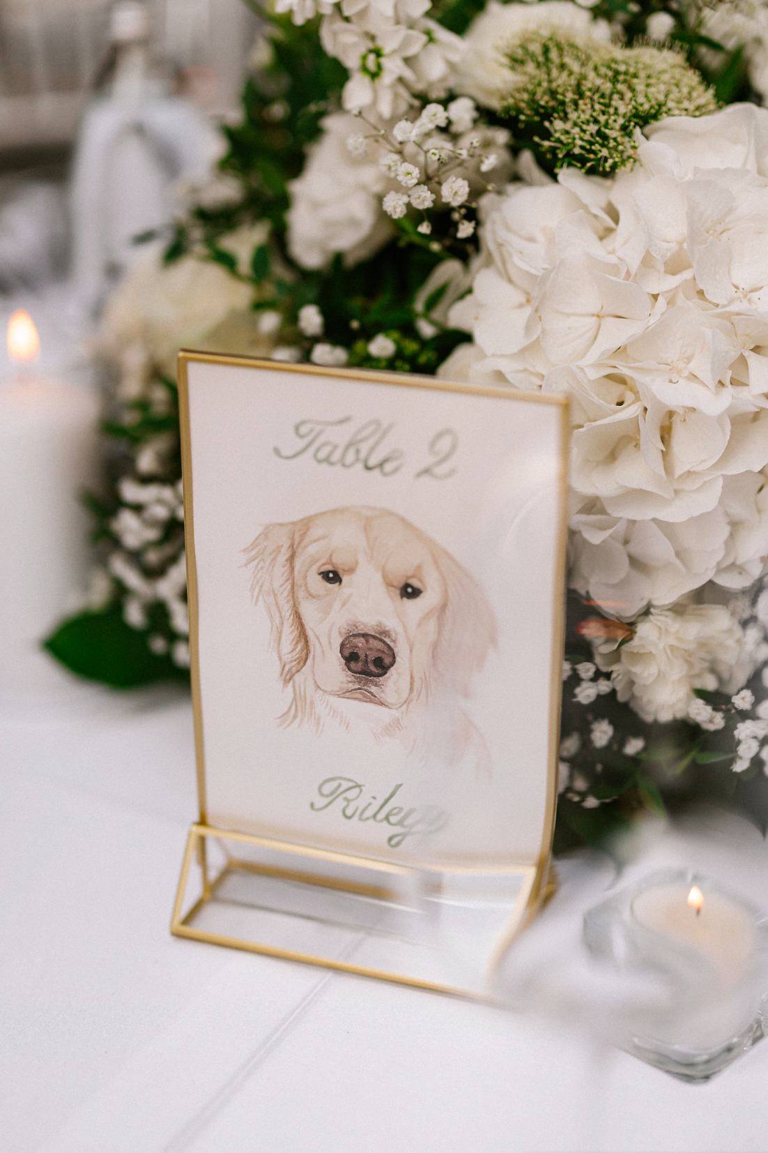 Screenshot 2025-11-12 at 12.53.11 PM.png