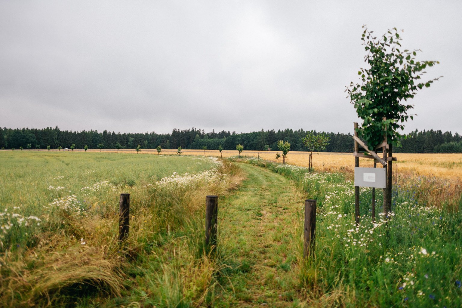 svatba-pribram-priroda-mlyn-kamenice-2022-fotograf-patrickhacha2.jpg