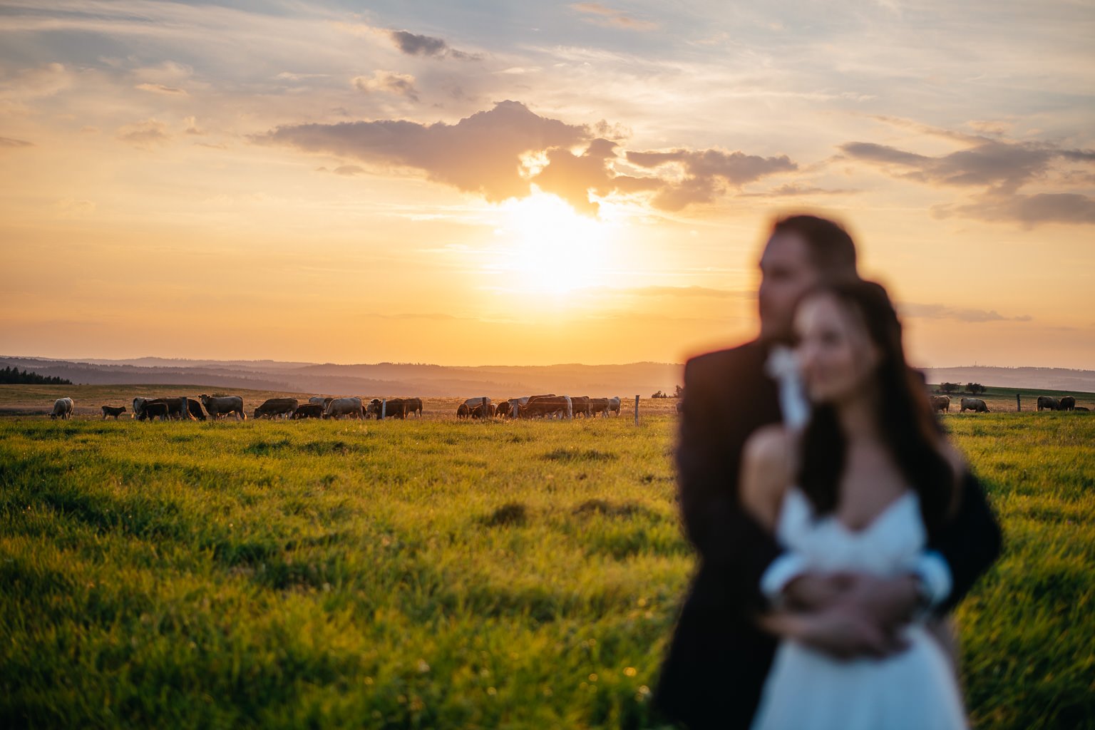 Frantiskuv-dvur-svatba-farma-klokocov-fotograf-wedding-patrikhacha-photographer-096.jpg