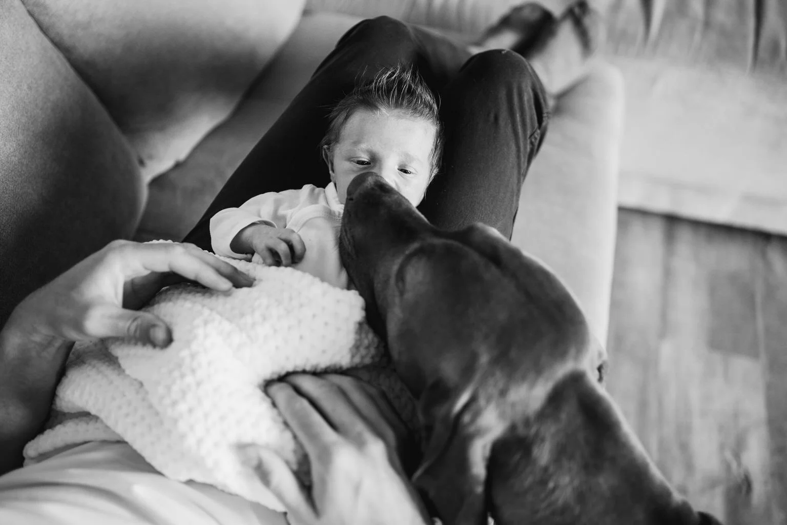 rodinne-foceni-prague-family-patrickhacha-2022-newborn-boy-kluk-rodina-patrickhacha7.jpg