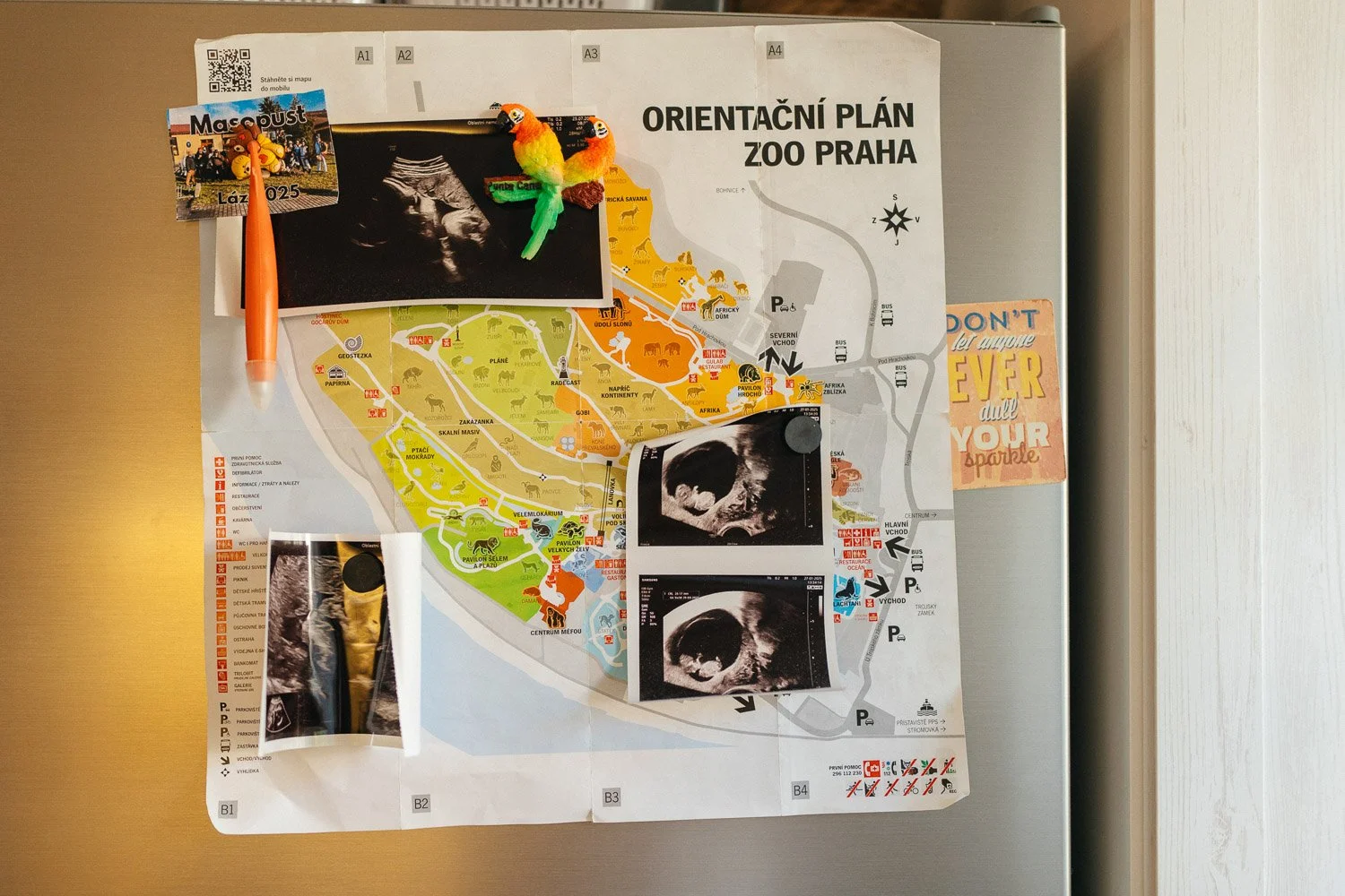Detail lednice s plánem pražské zoo, fotografiemi a snímky z ultrazvuku.