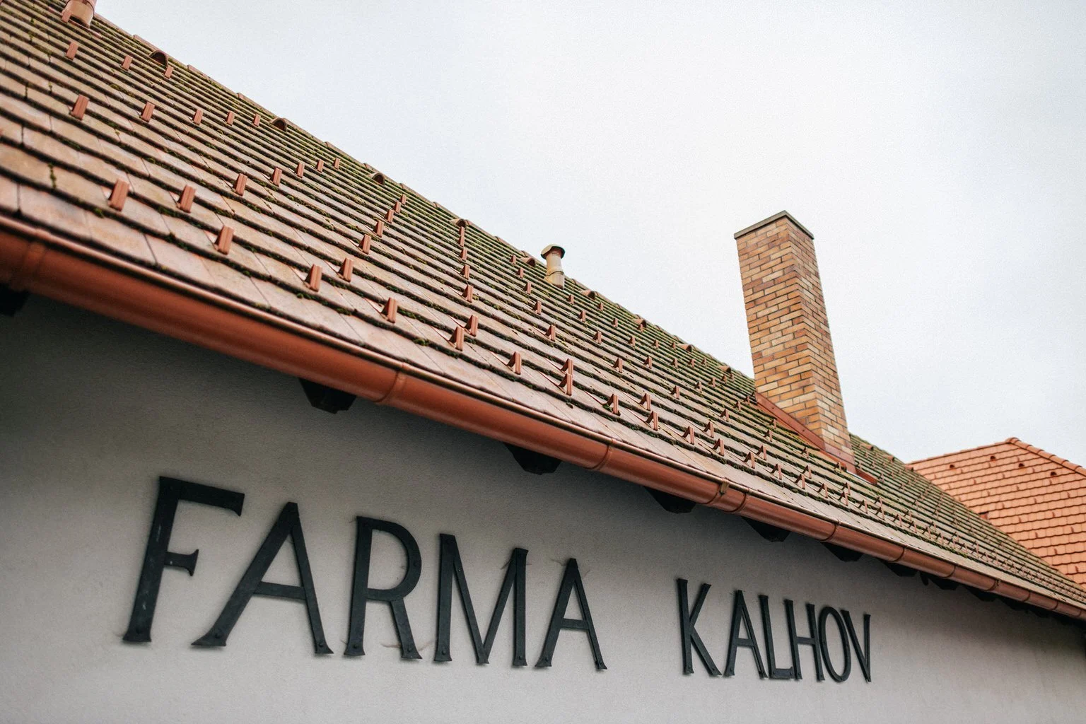 svatba-v-desti-farma-kalhov-fotograf-2022-wedding-prsi-venkovni-patrickhacha2.jpg