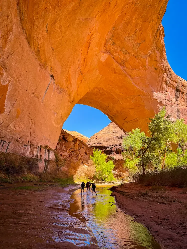 coyote-gulch-backpacking-13.webp