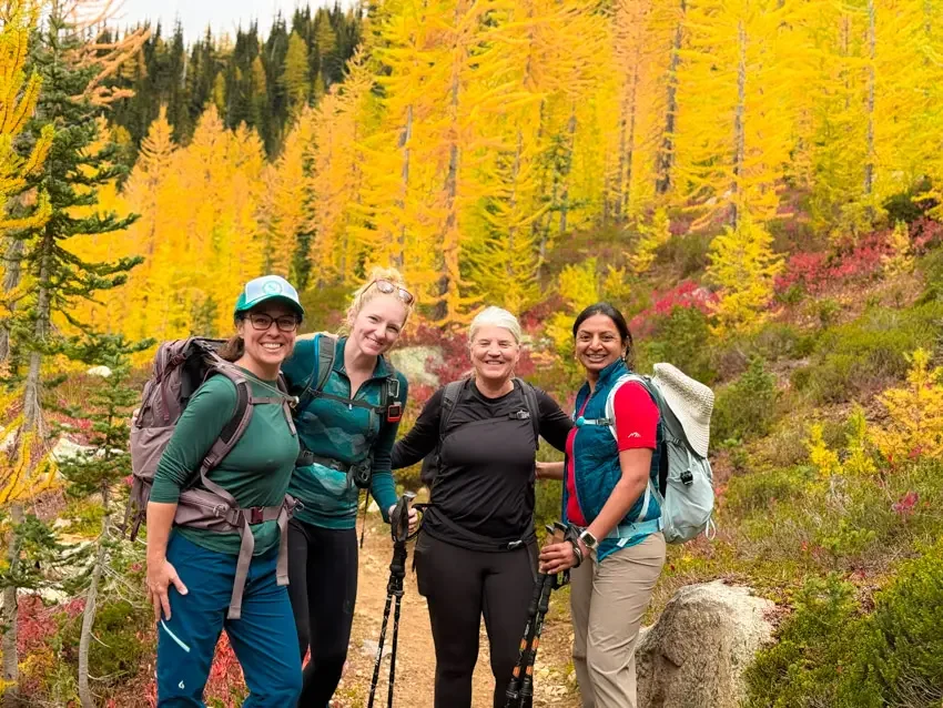 northern-cascades-larches--14.webp