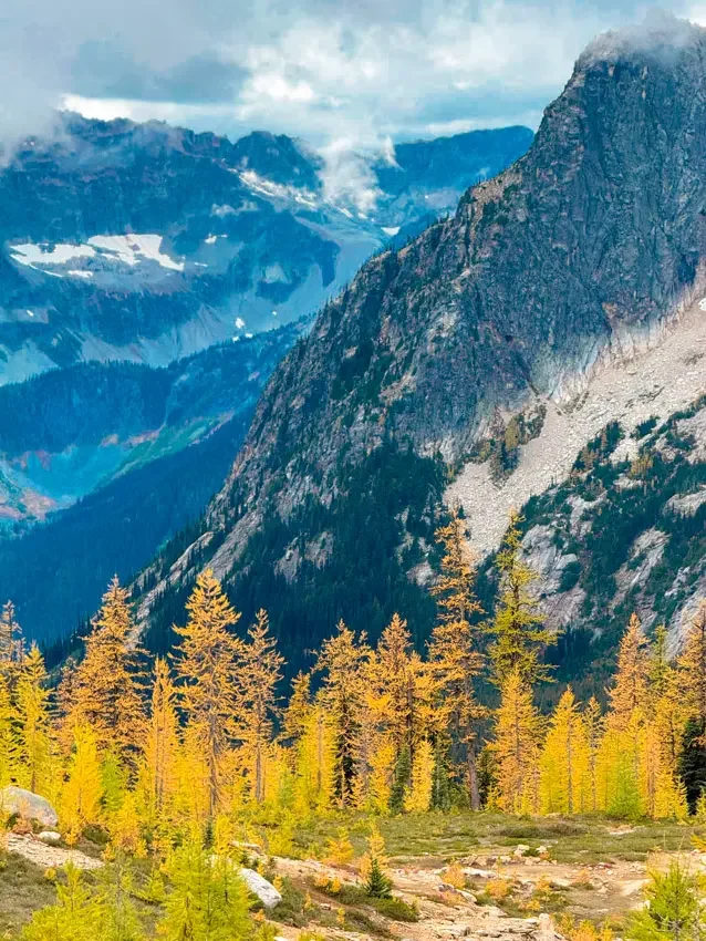 northern-cascades-larches--05.webp