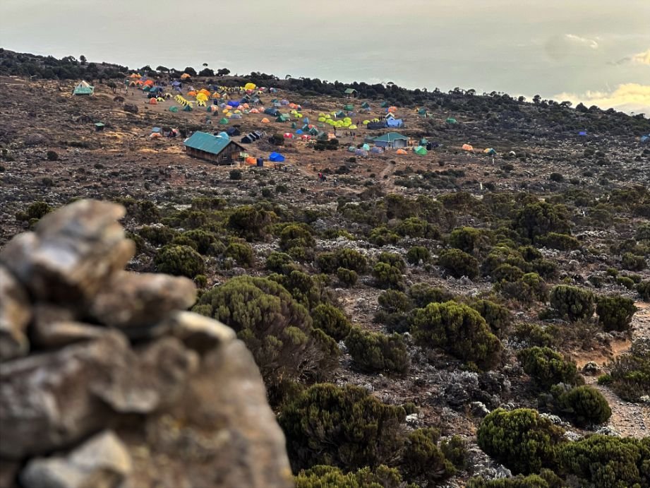 Kilimanjaro 12.jpg