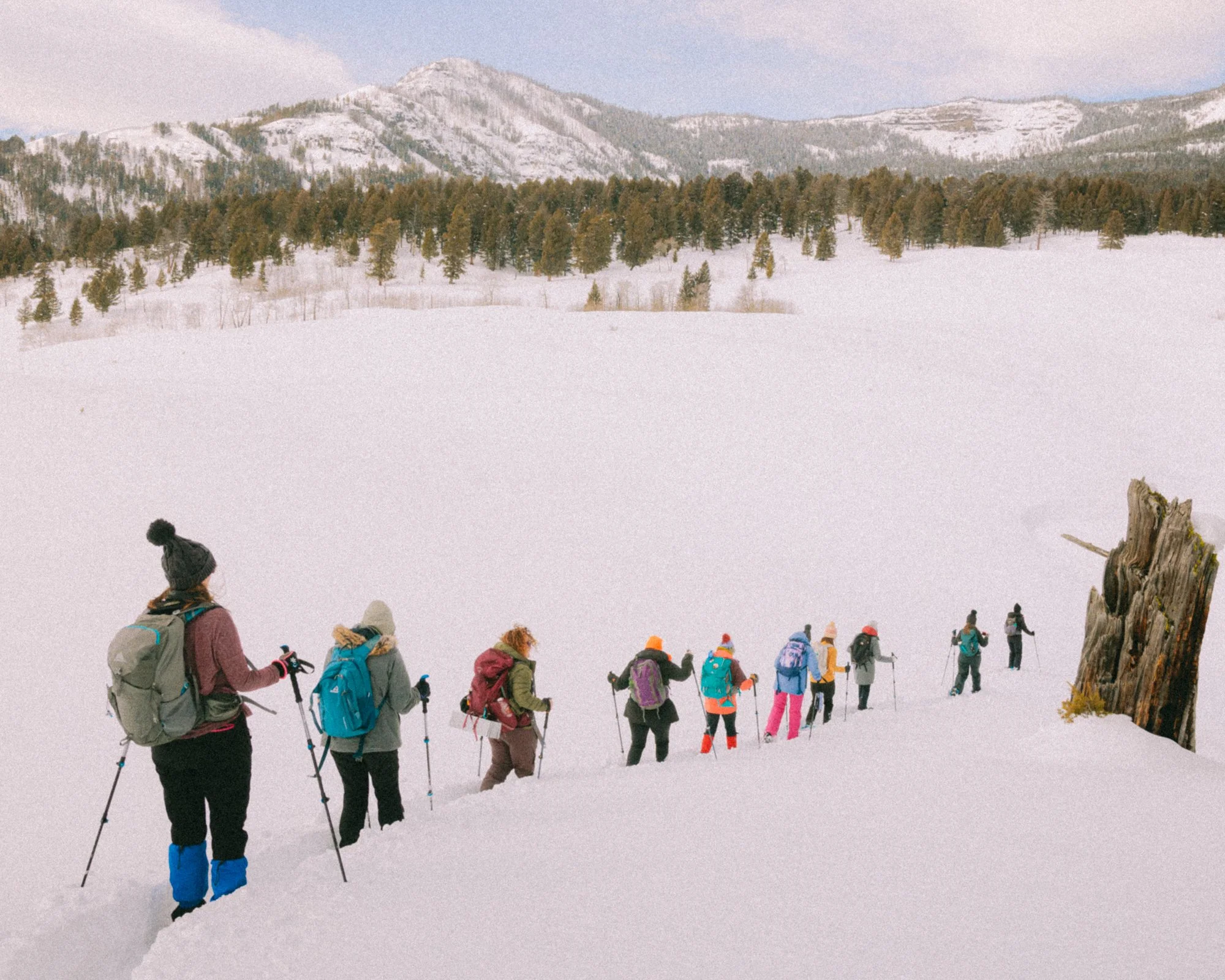wweyellowstone0225-5849.jpg