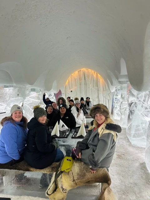 lapland ice hotel 2.jpeg