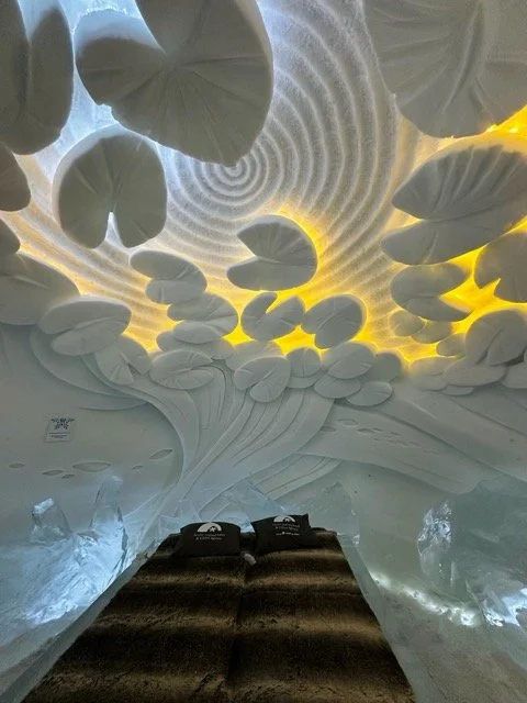 lapland ice hotel 5.jpeg