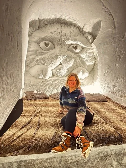 lapland ice hotel 7.jpeg